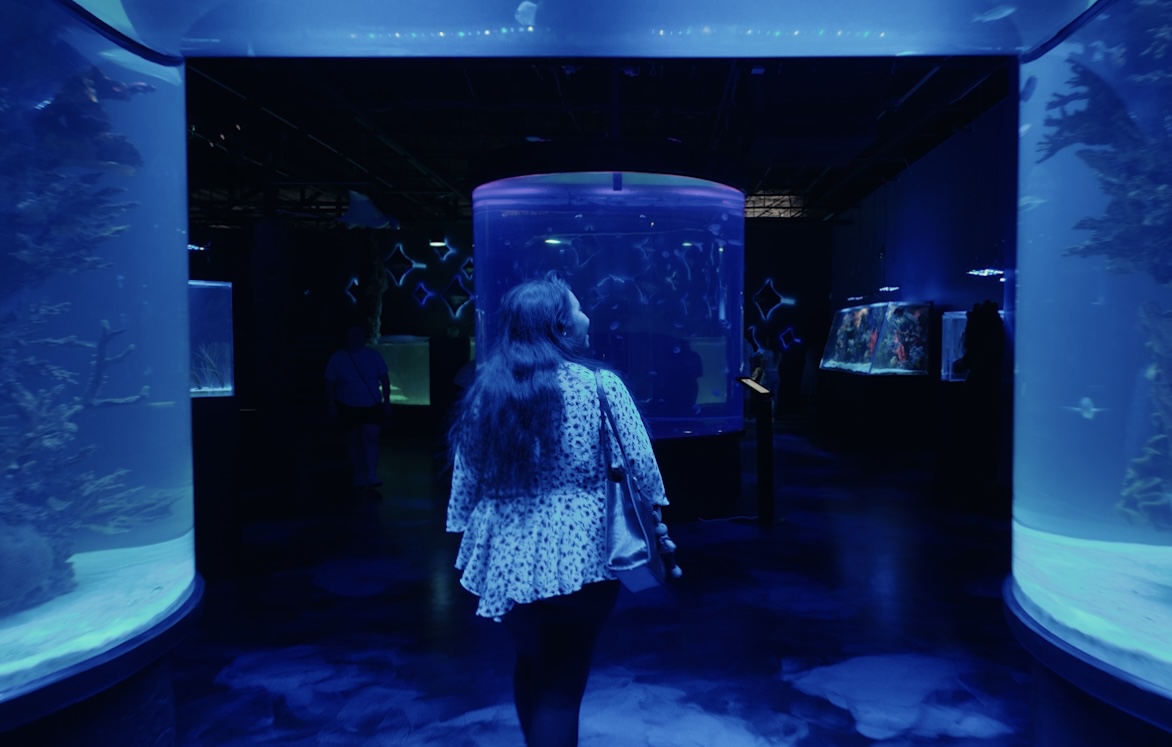 Person with long hair walking towards a large cylindrical aquarium in a dark room with blue lighting.