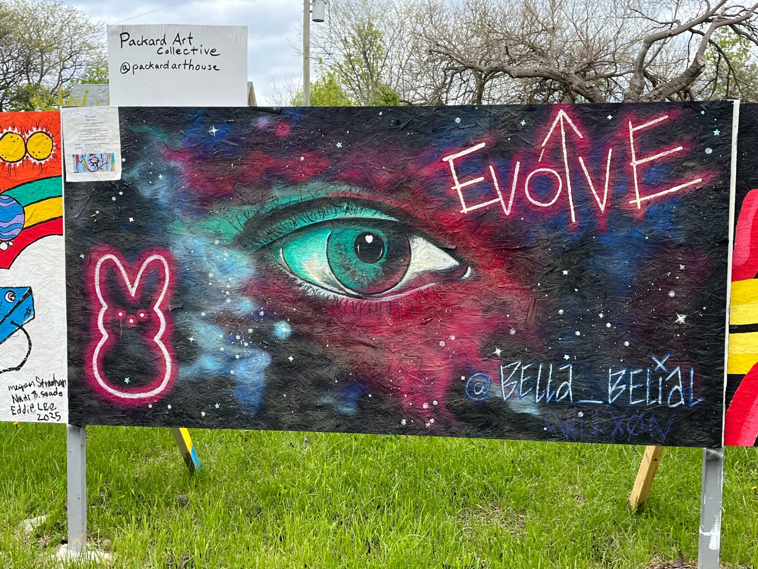Graffiti art featuring a large eye with a galaxy background, the word 'EVOLVE' in pink, and a pink bunny outline.