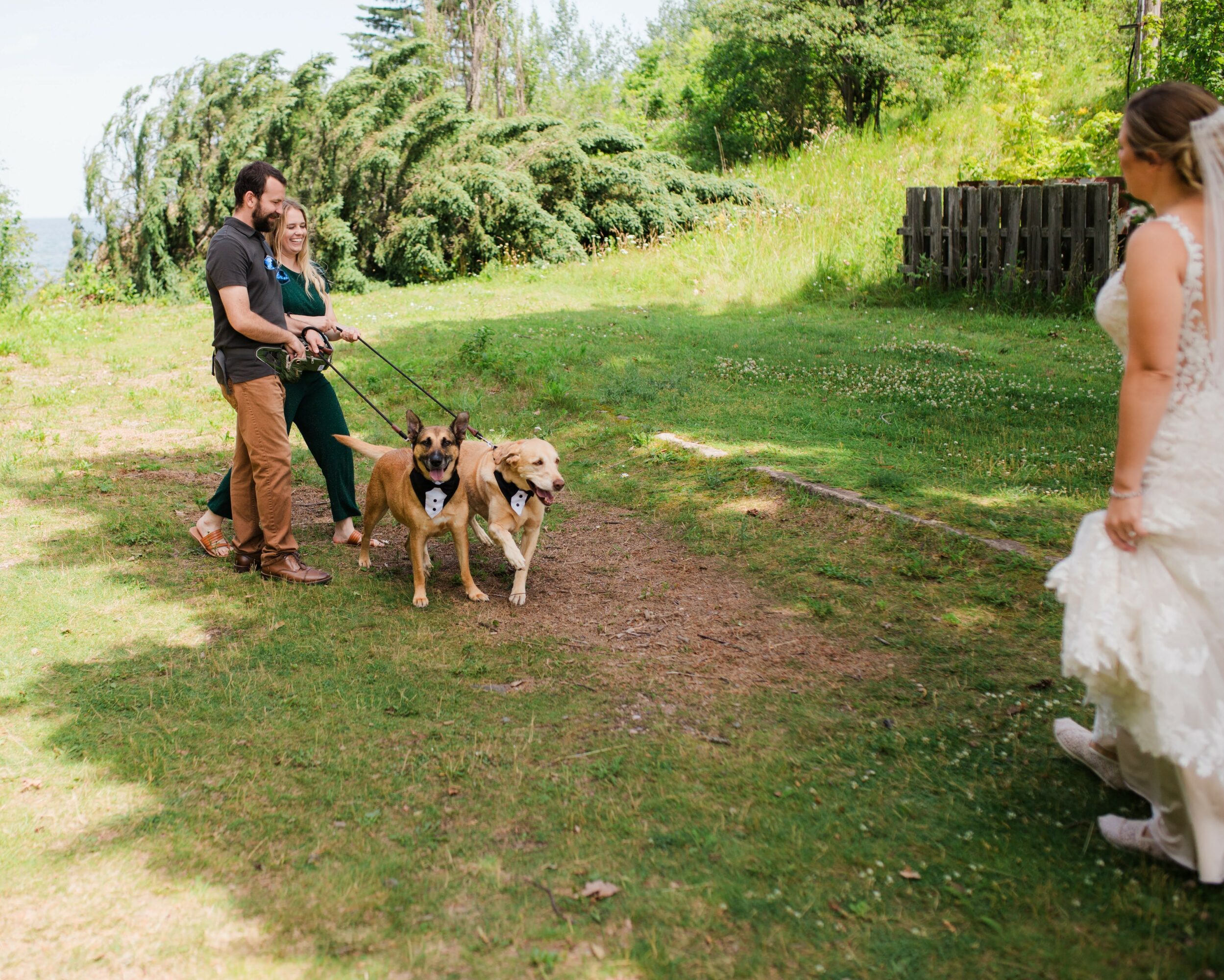 Two people with dogs on leashes face a woman in a white dress outdoors on grass and trees.