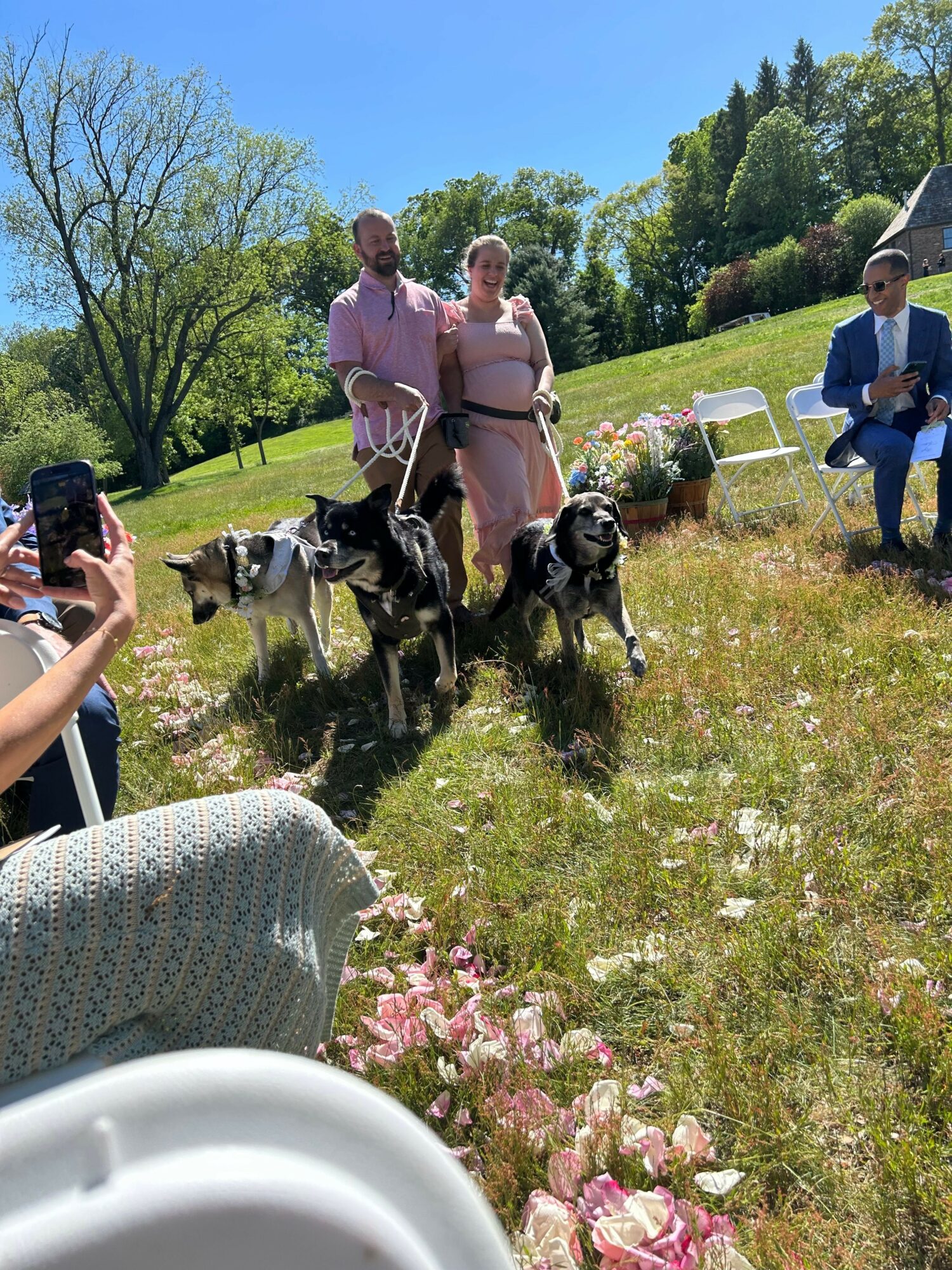 People walking dogs in a park with green grass, trees, and pink flowers, under a clear blue sky.