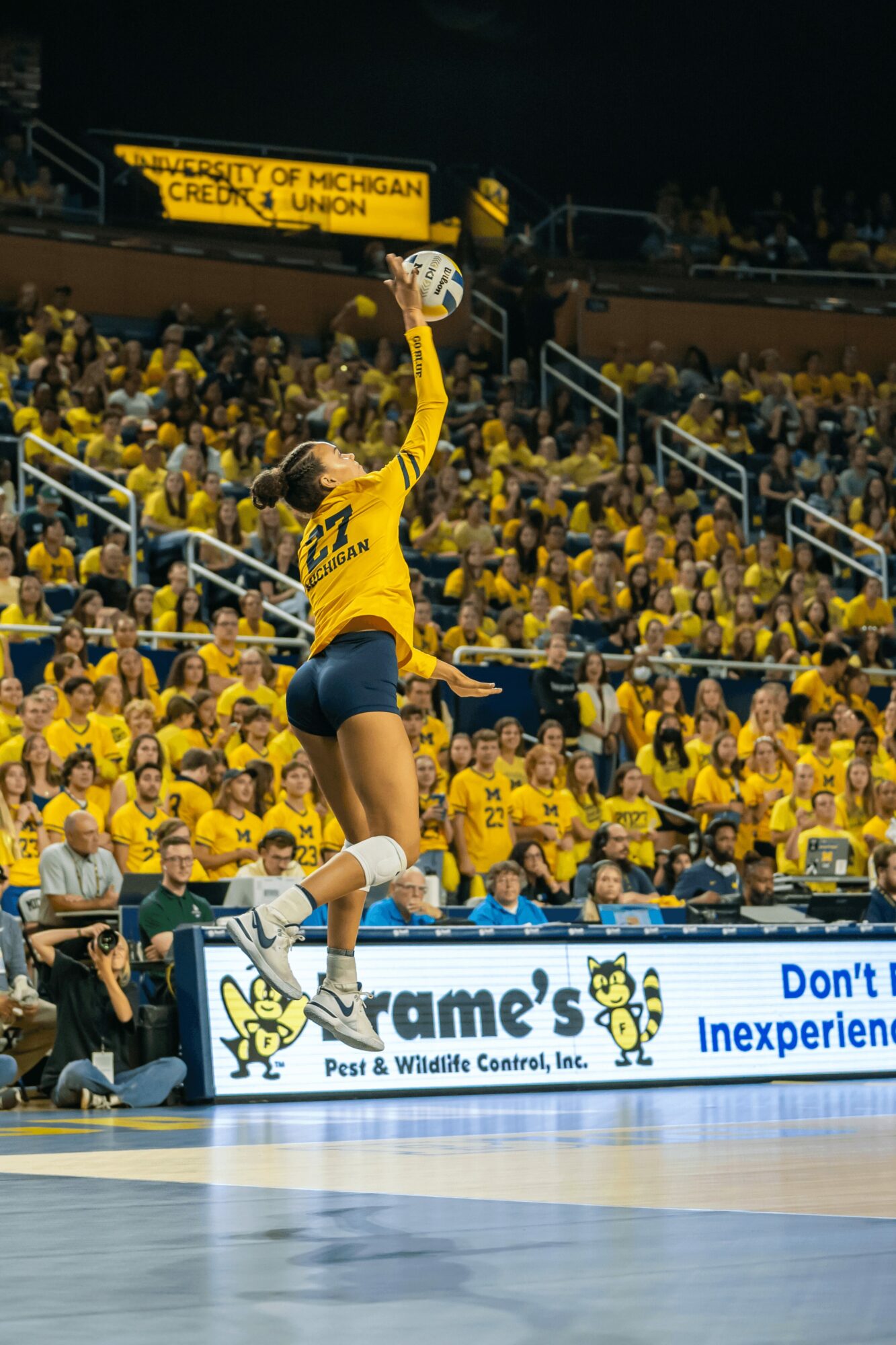 Female volleyball player in yellow jersey jumps to hit the ball during match, crowd in yellow shirts in background.