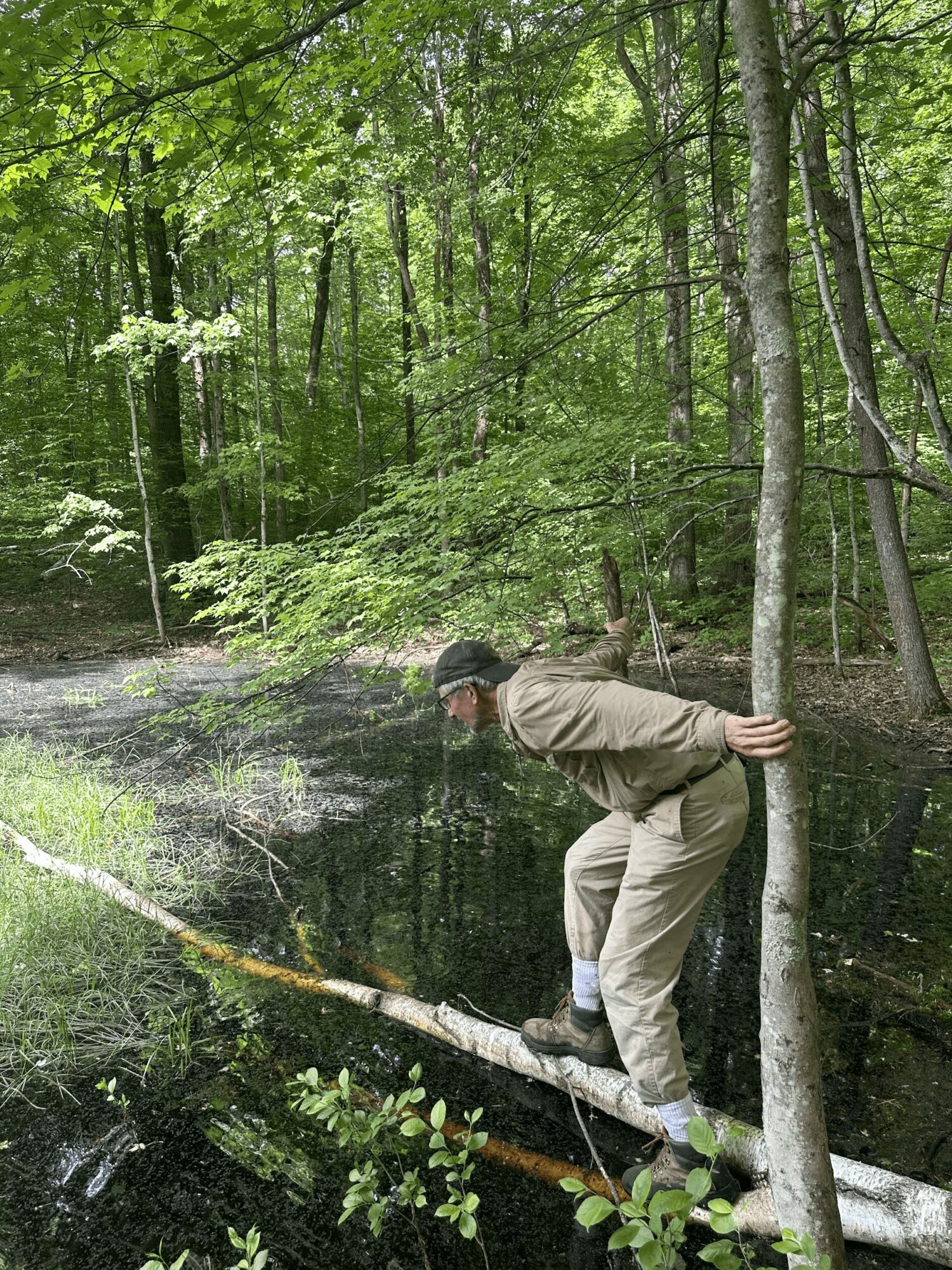 Person leaning against a tree in a green forest near a pond, balancing on a fallen log.