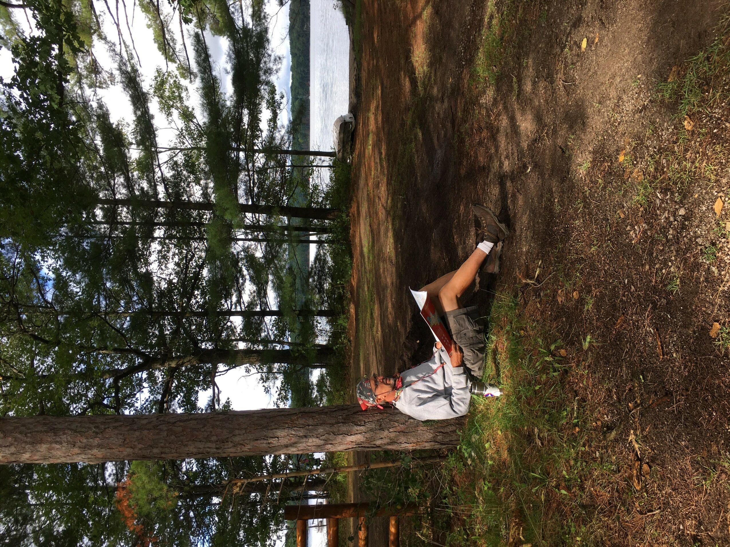 Person sitting against a tree in a wooded area, with a lake and trees in the background.