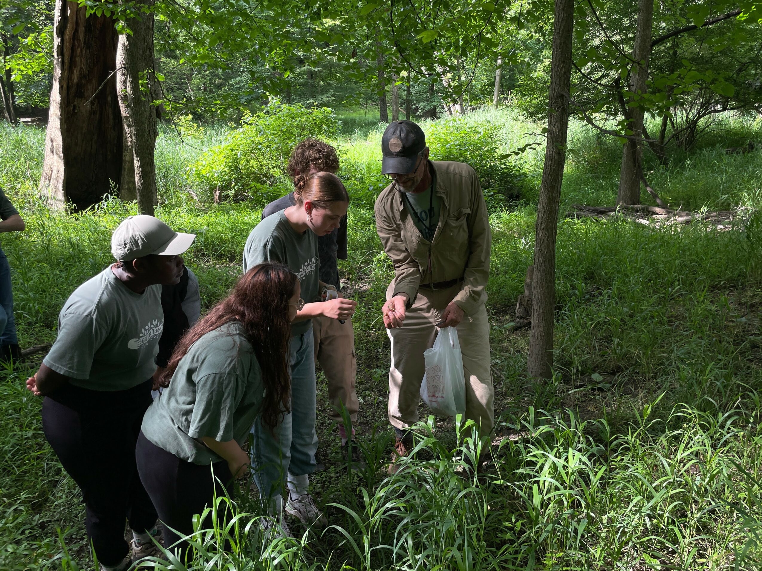 Group of five people observing plants in a forested area with trees and green grass.