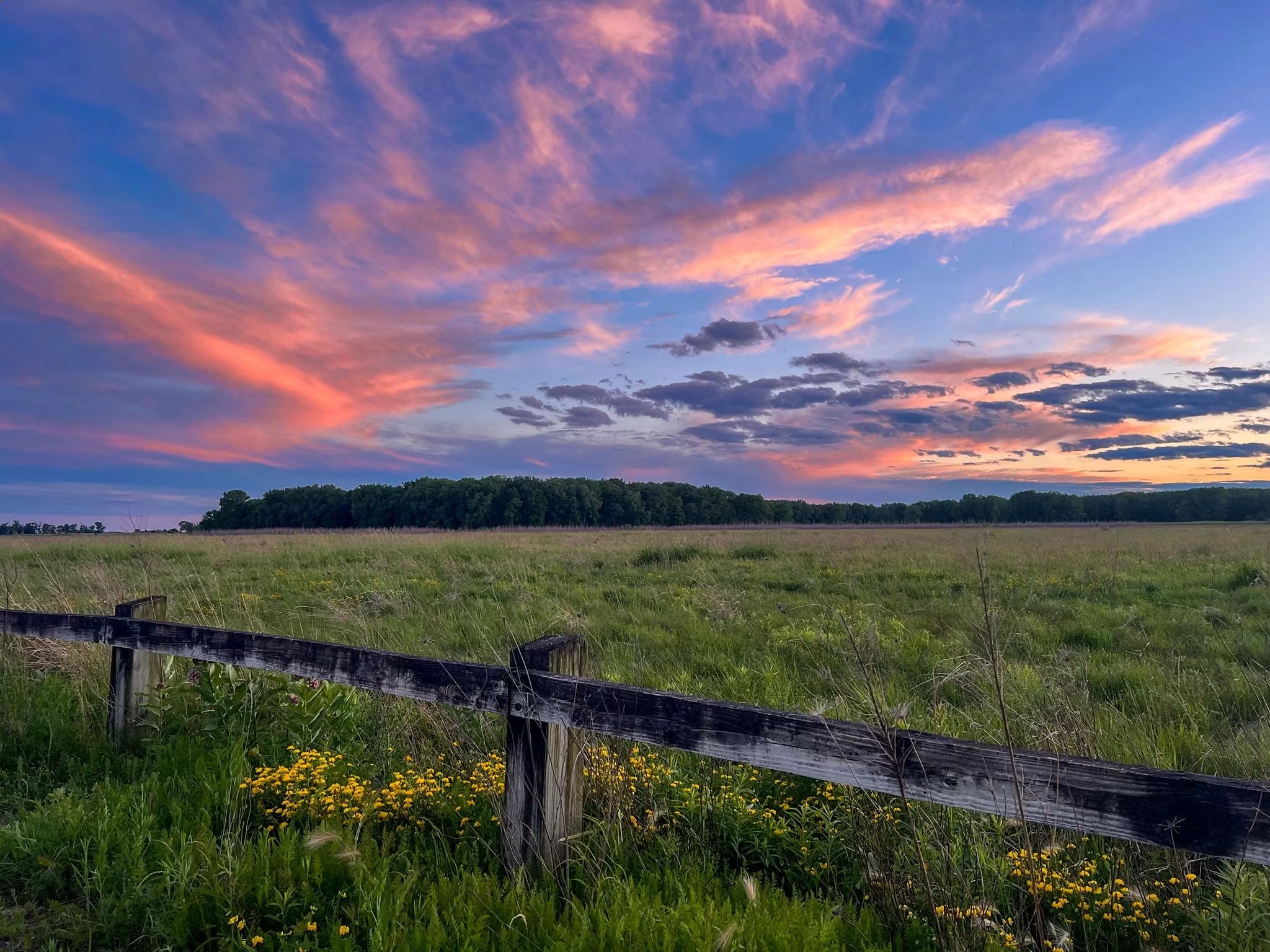 Open field with a wooden fence, yellow flowers, and a colorful sunset sky with clouds.