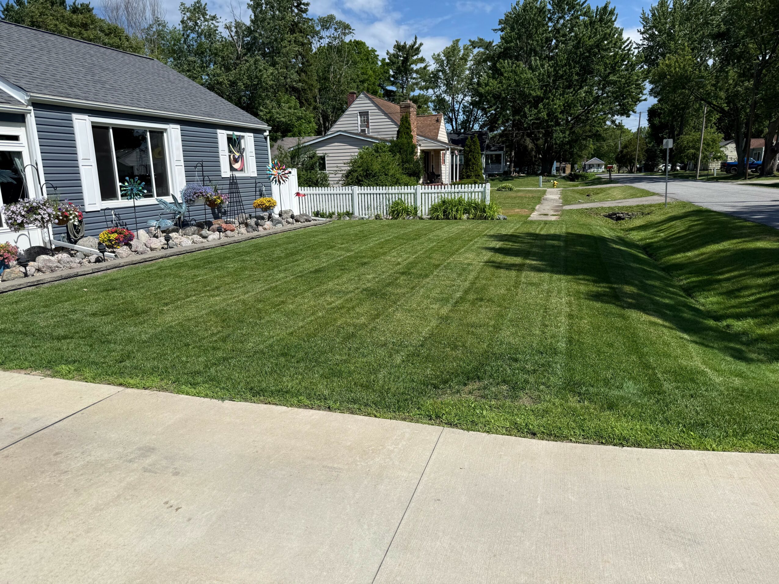 Well-maintained green lawn in front of a house with a sidewalk and trees in the background.