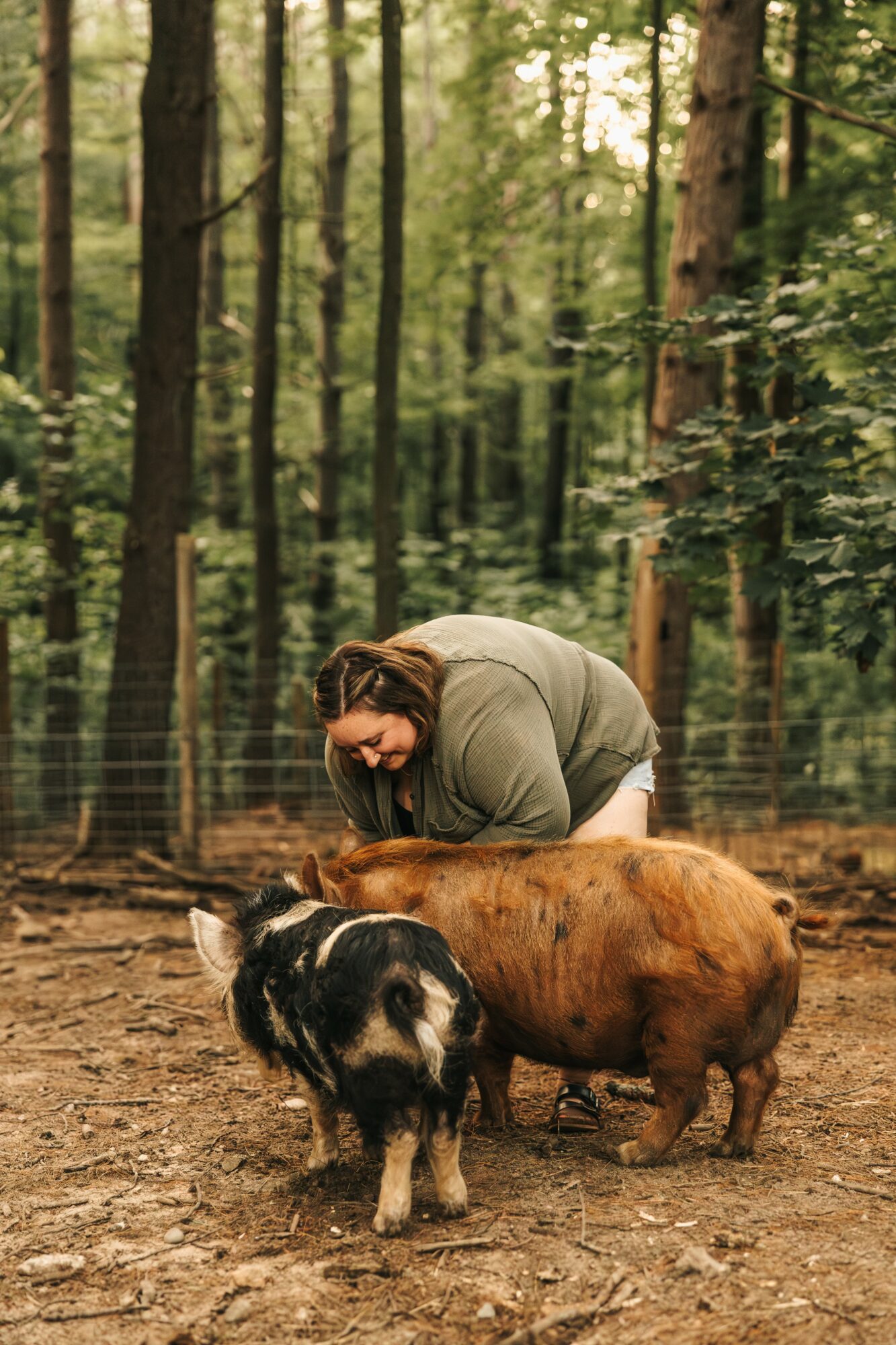 Person crouching near two pigs in a forest with tall trees and green foliage.