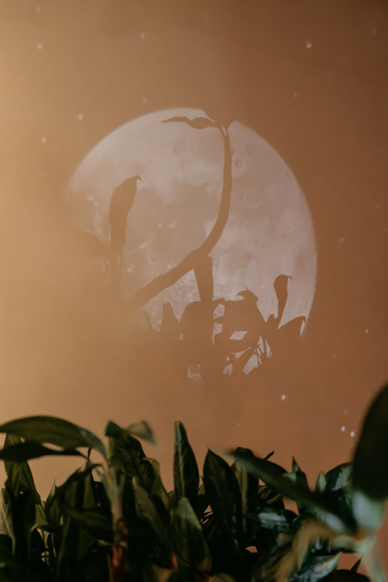 Shadow of a person with a hat and a dog cast on a full moon, with plants in the foreground.