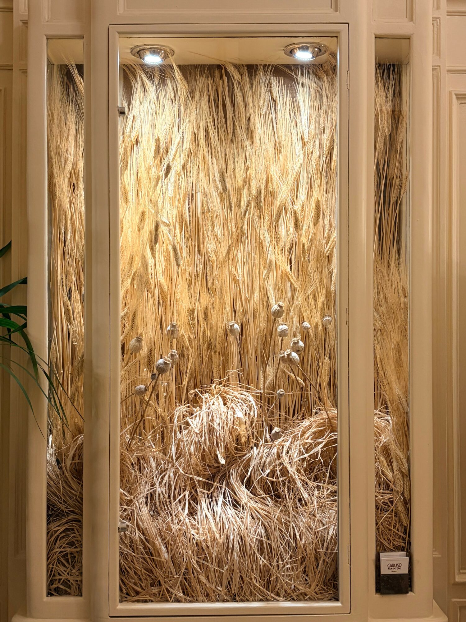 Display case with tall, golden, textured grass and dried flowers, illuminated by three spotlights at the top.