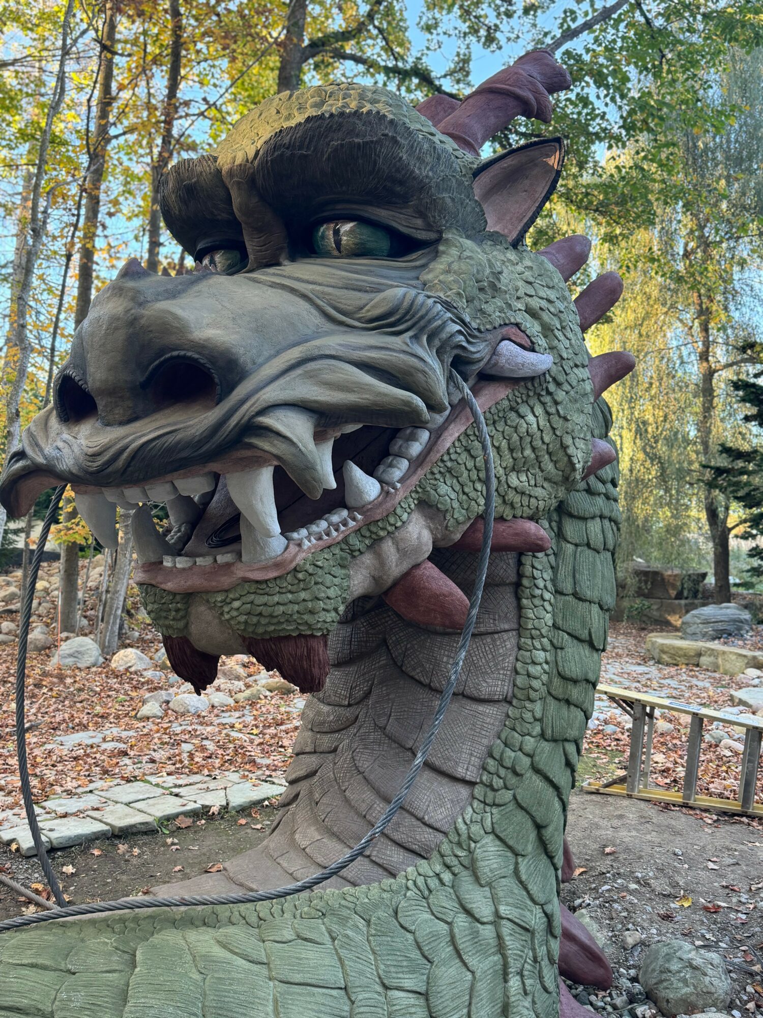 A large dragon sculpture with a black cat on its head, set outdoors among trees and rocks.