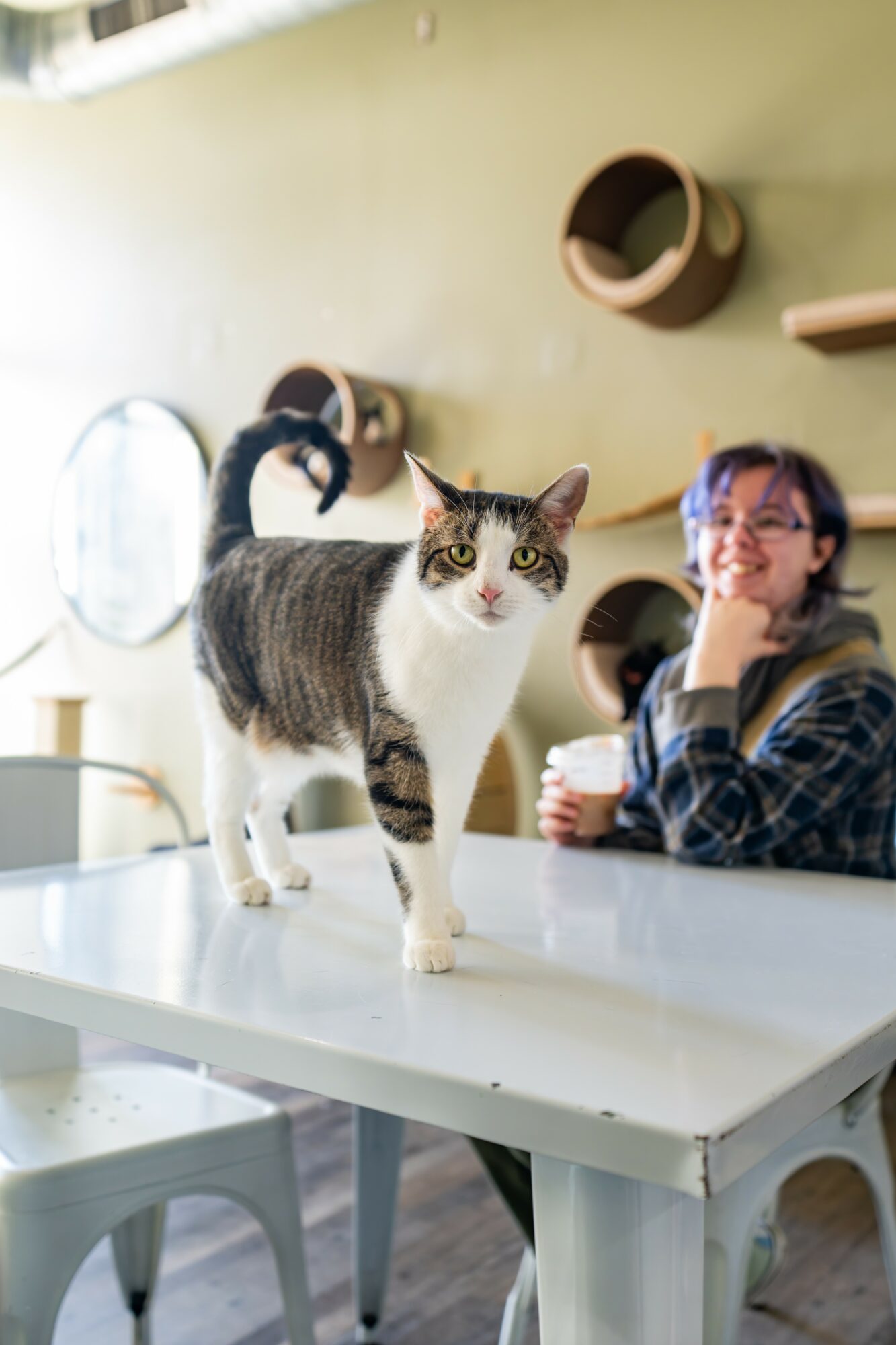 Hidden Gems: Meet Kati Quarto of Happy Cat Cafe