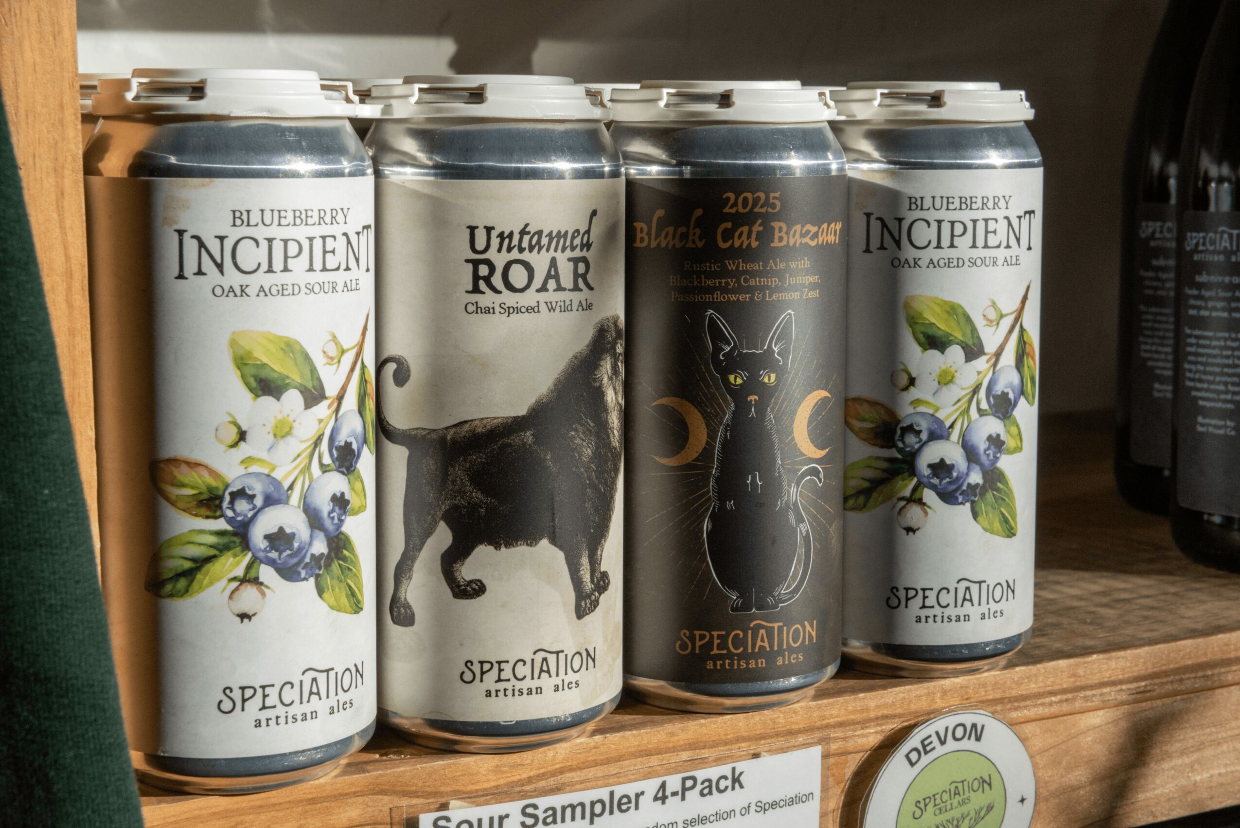 Four cans of craft beer on a wooden shelf, with labels featuring blueberries, a black dog, a black cat, and blueberries again.