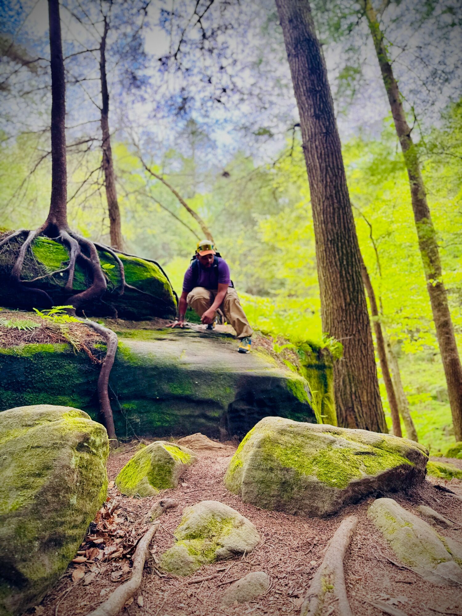 Person sitting on a moss-covered rock in a forest, surrounded by trees and large rocks, with sunlight filtering through leaves.