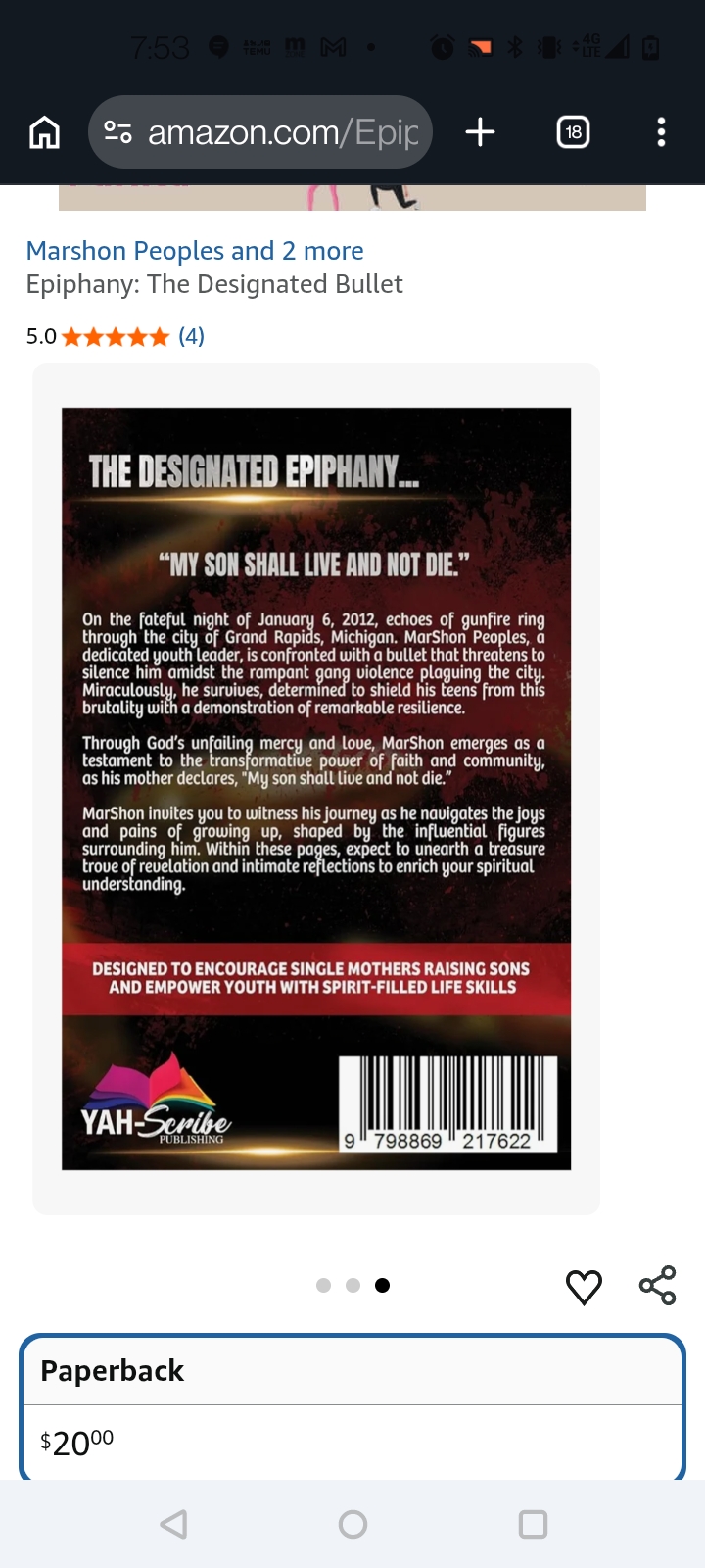 Book cover titled 'The Designated Epiphany' with a black and red background, white text, and a barcode at the bottom. Word count: 20