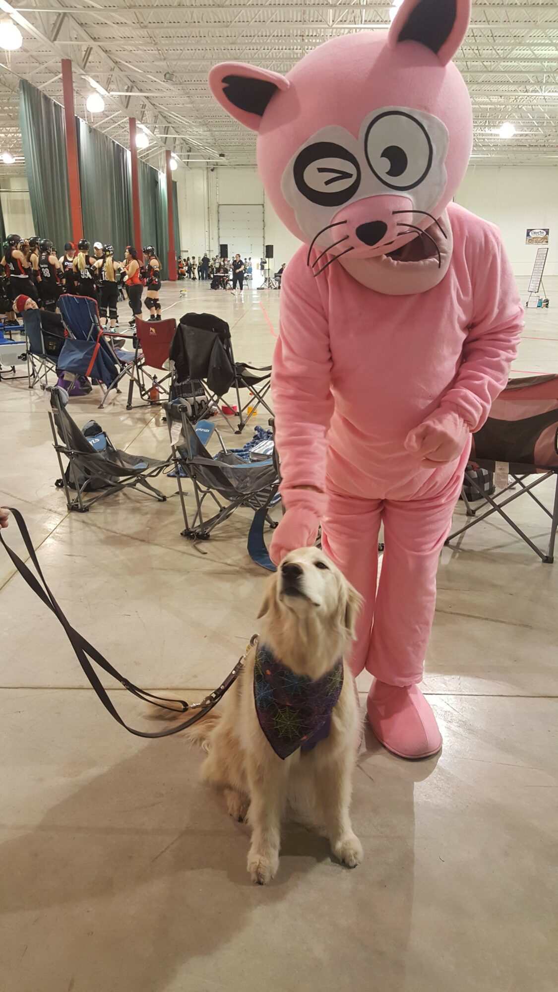 Person in pink pig costume standing next to a large dog on a leash in an indoor space with people and bicycles.