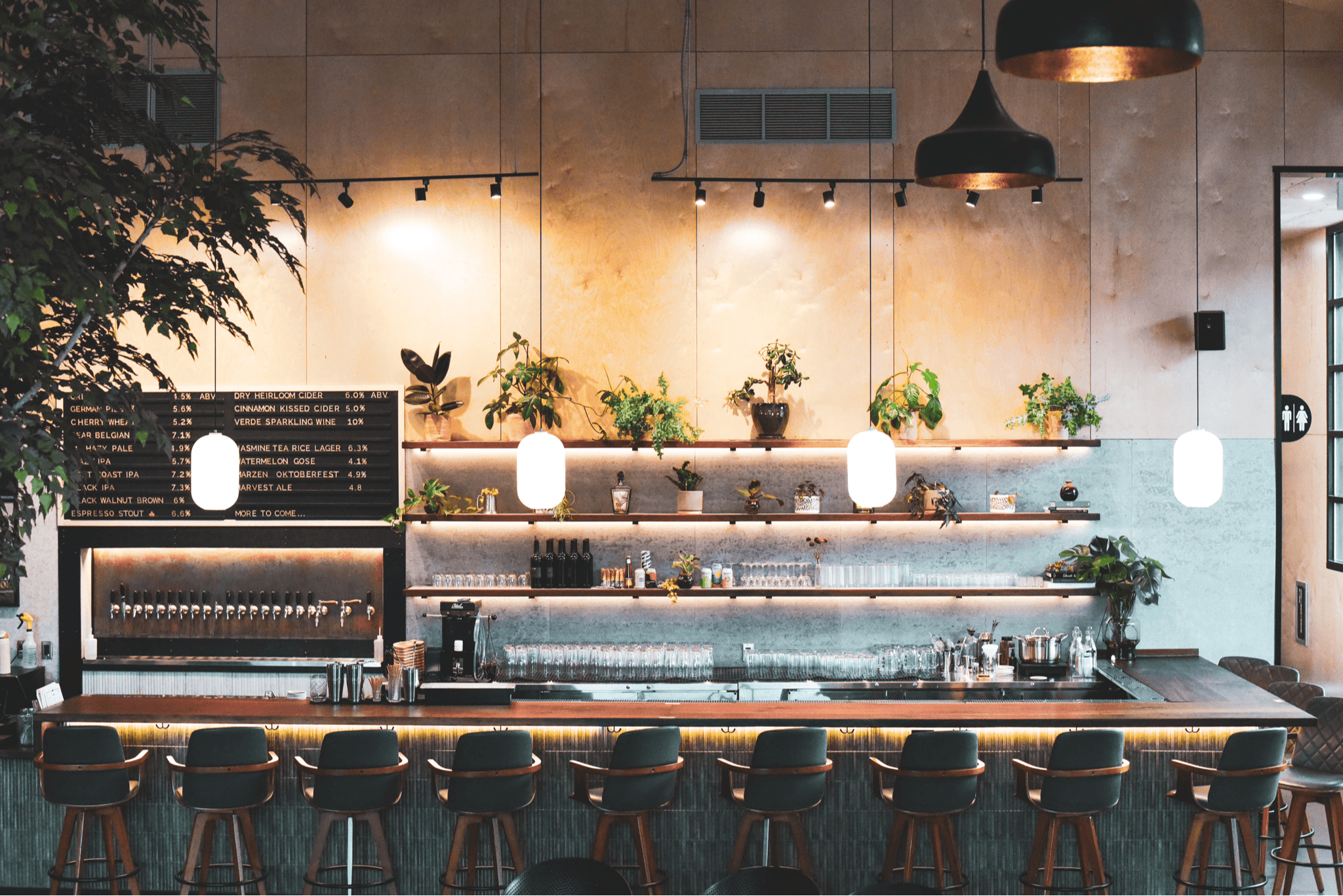 Bar counter with stools, shelves with plants, hanging lights, and a chalkboard menu in a modern cafe interior.