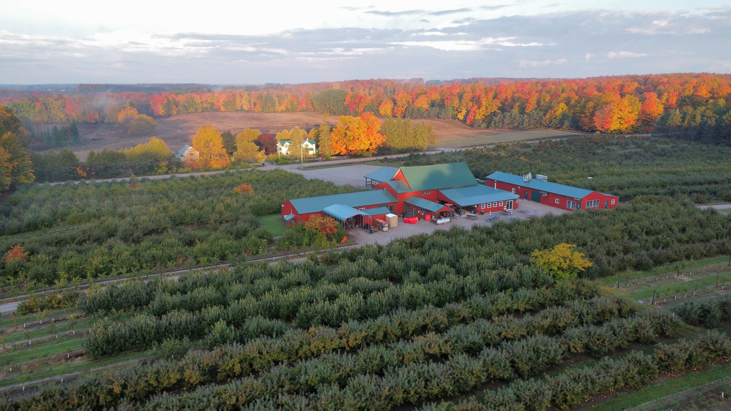 A farm with red and blue buildings surrounded by green fields and trees with autumn foliage, under a cloudy sky.