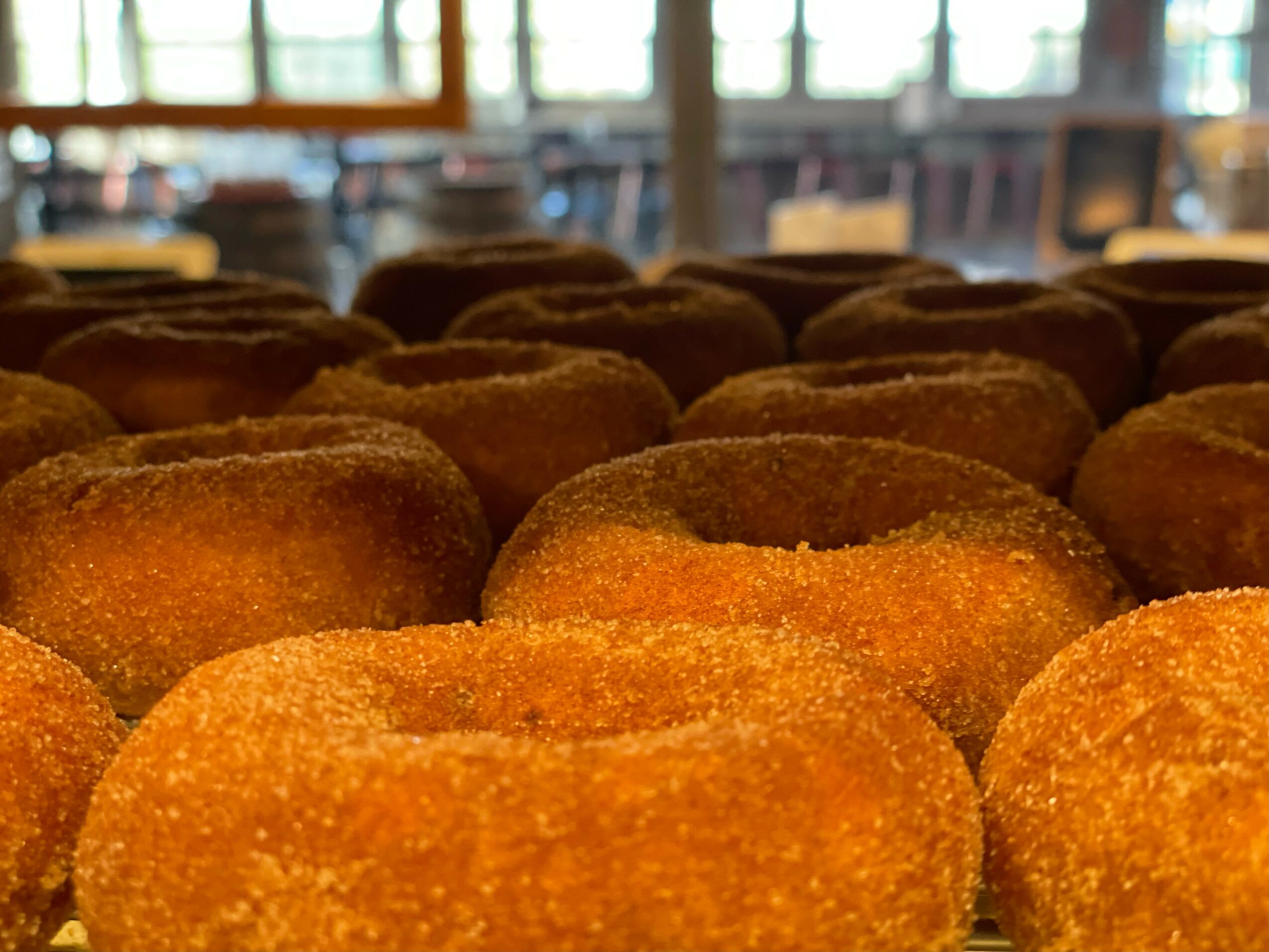 Close-up of golden-brown donuts arranged in rows on a surface, with a blurred background of a cafe or bakery interior.