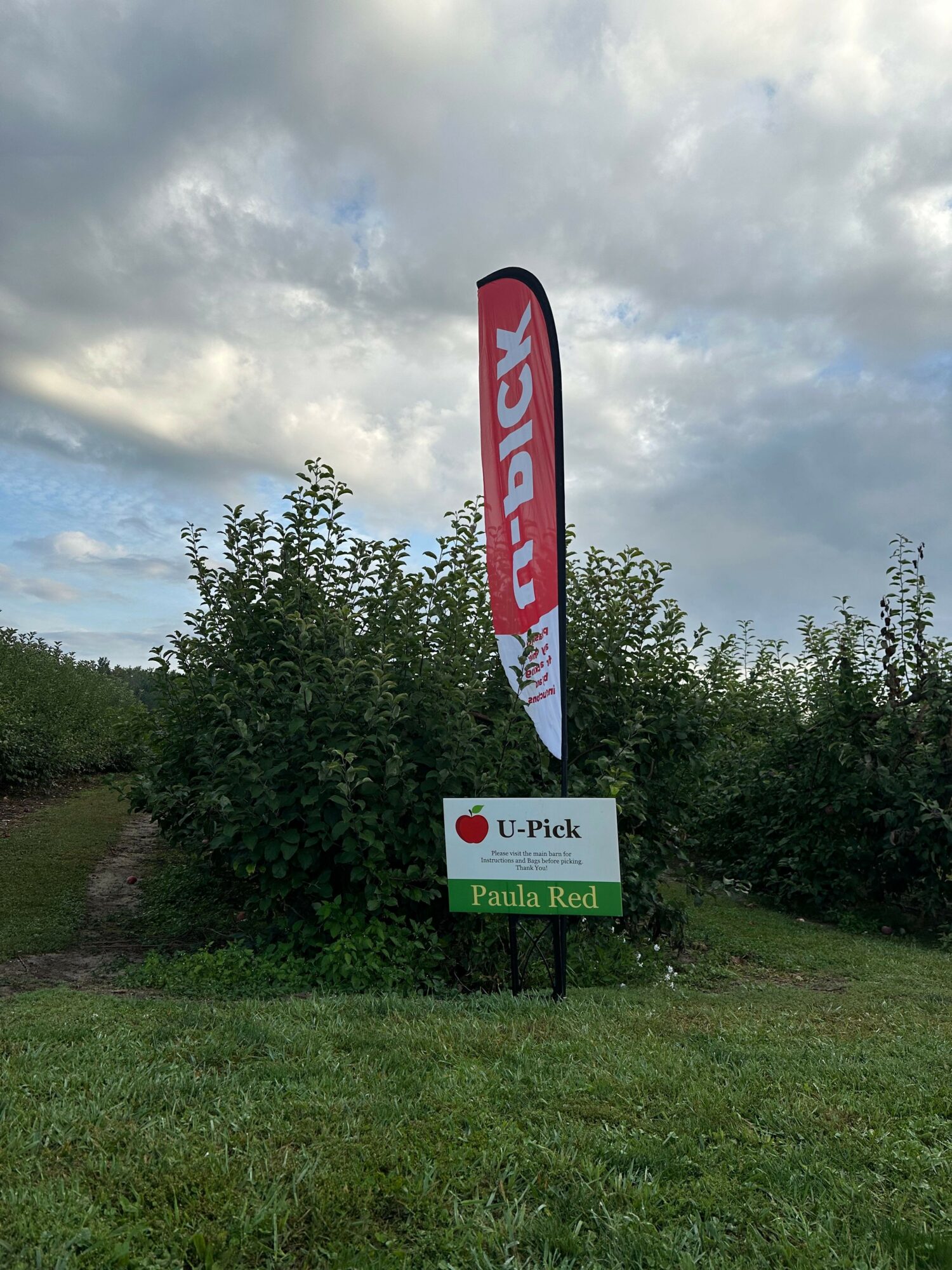 Sign with a red and white logo and a flag-shaped banner, surrounded by greenery and cloudy sky.