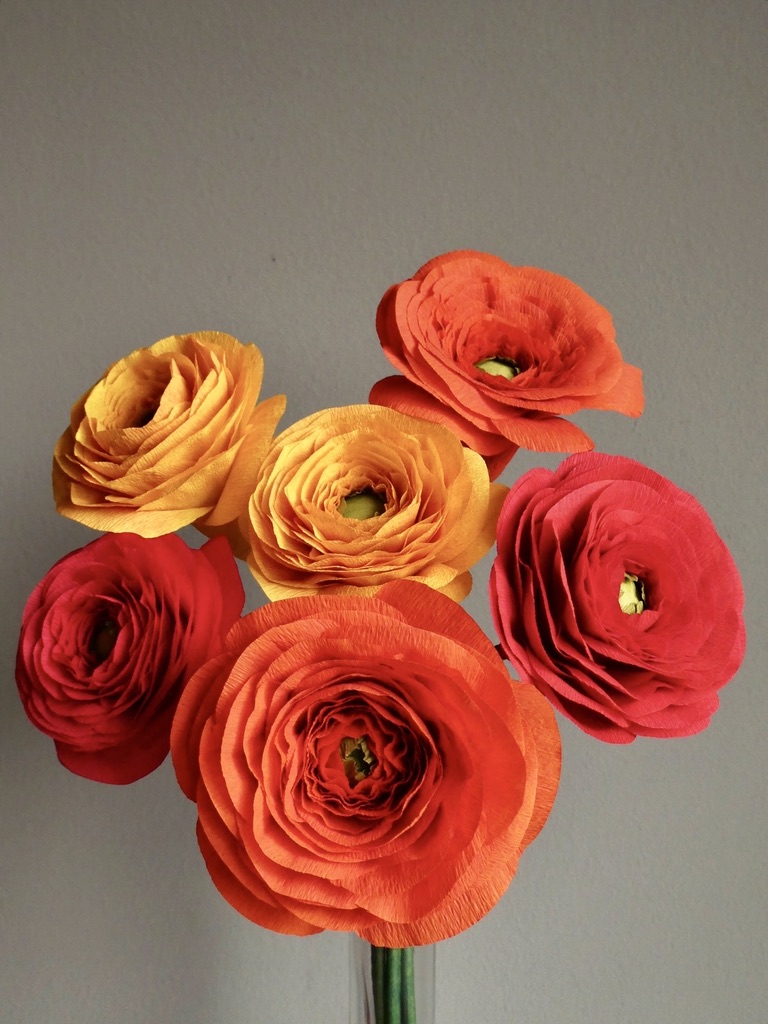 Six colorful ranunculus flowers in shades of red, orange, and yellow arranged against a plain background.