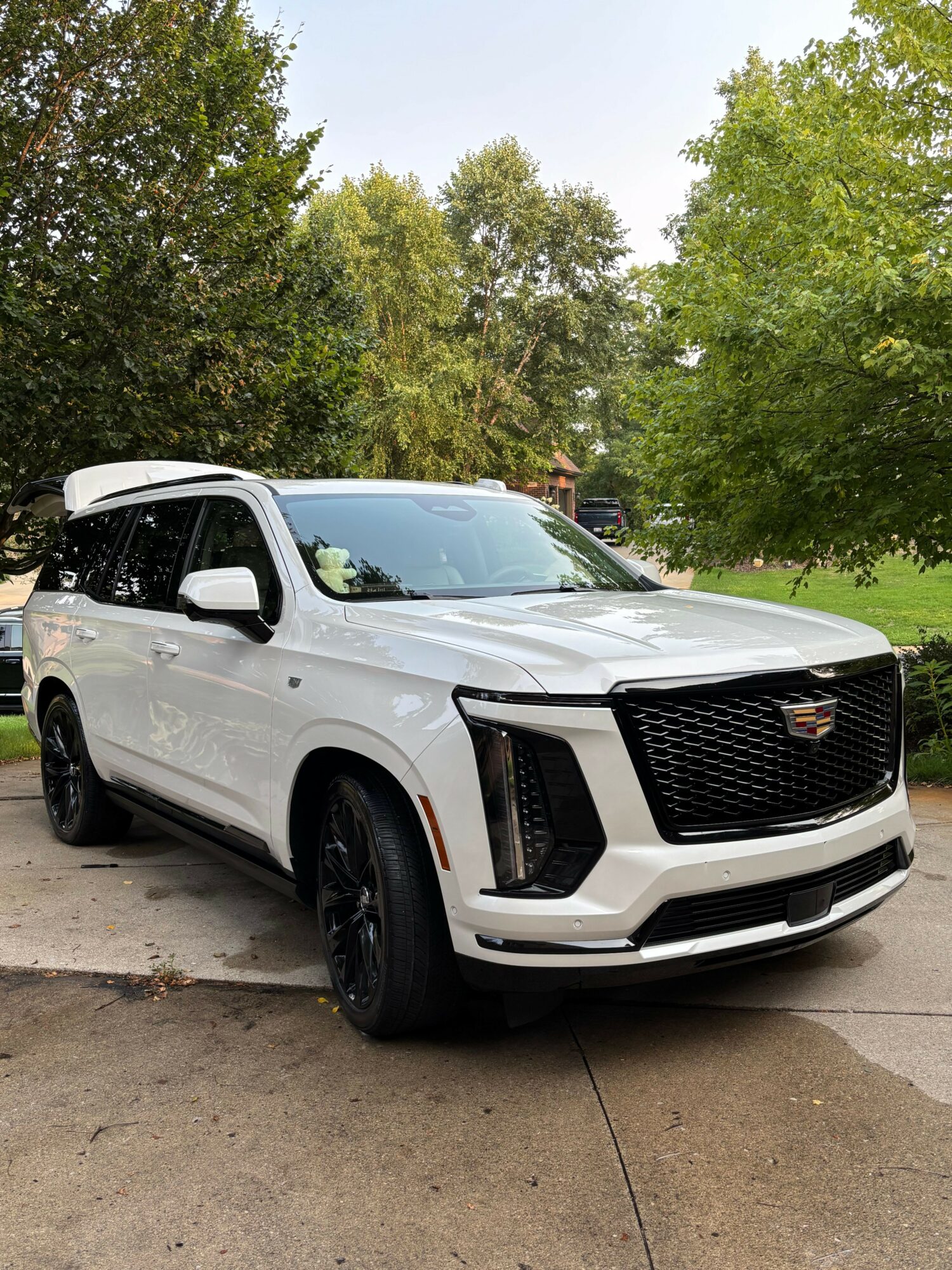 White SUV parked on a driveway with trees and greenery in the background.
