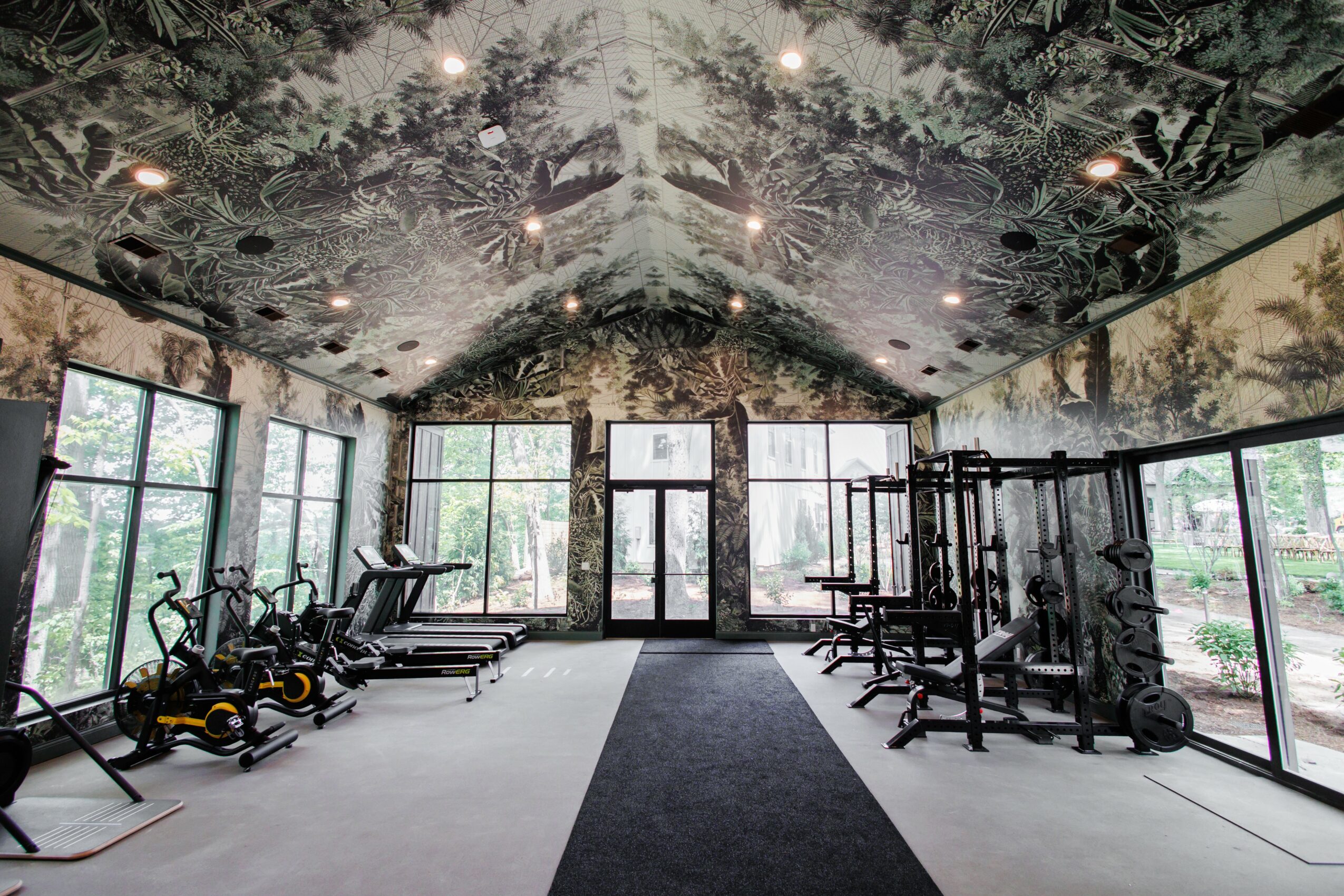 Fitness room with exercise bikes, treadmills, and weight machines, large windows, and a nature-themed ceiling mural.