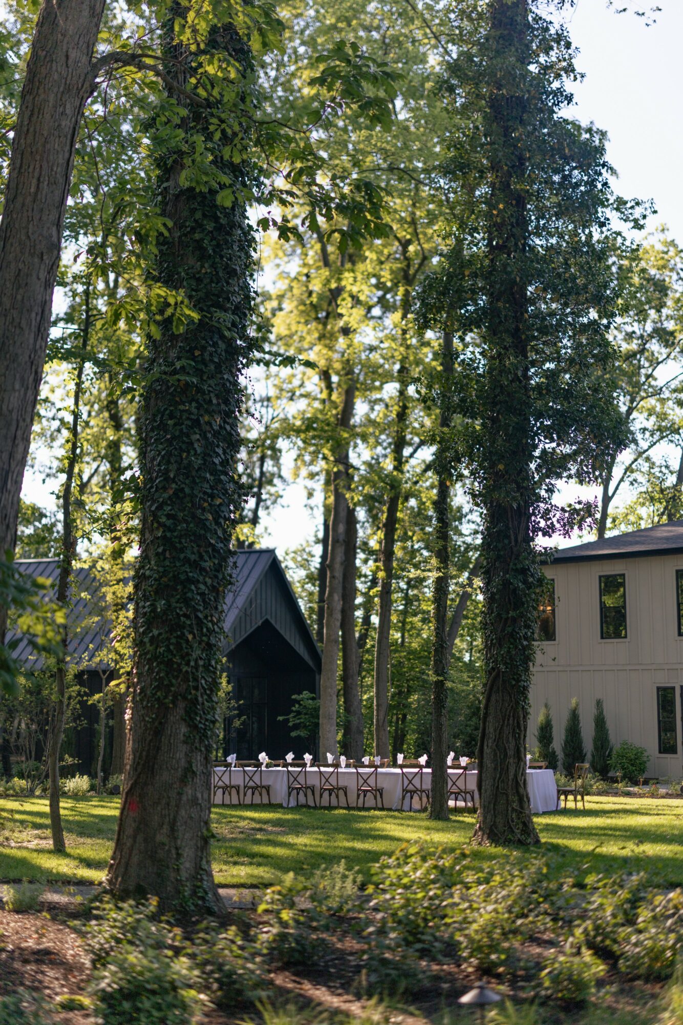 Tall trees with green leaves in a park, a building, and a table with chairs outdoors, sunlight filtering through trees.