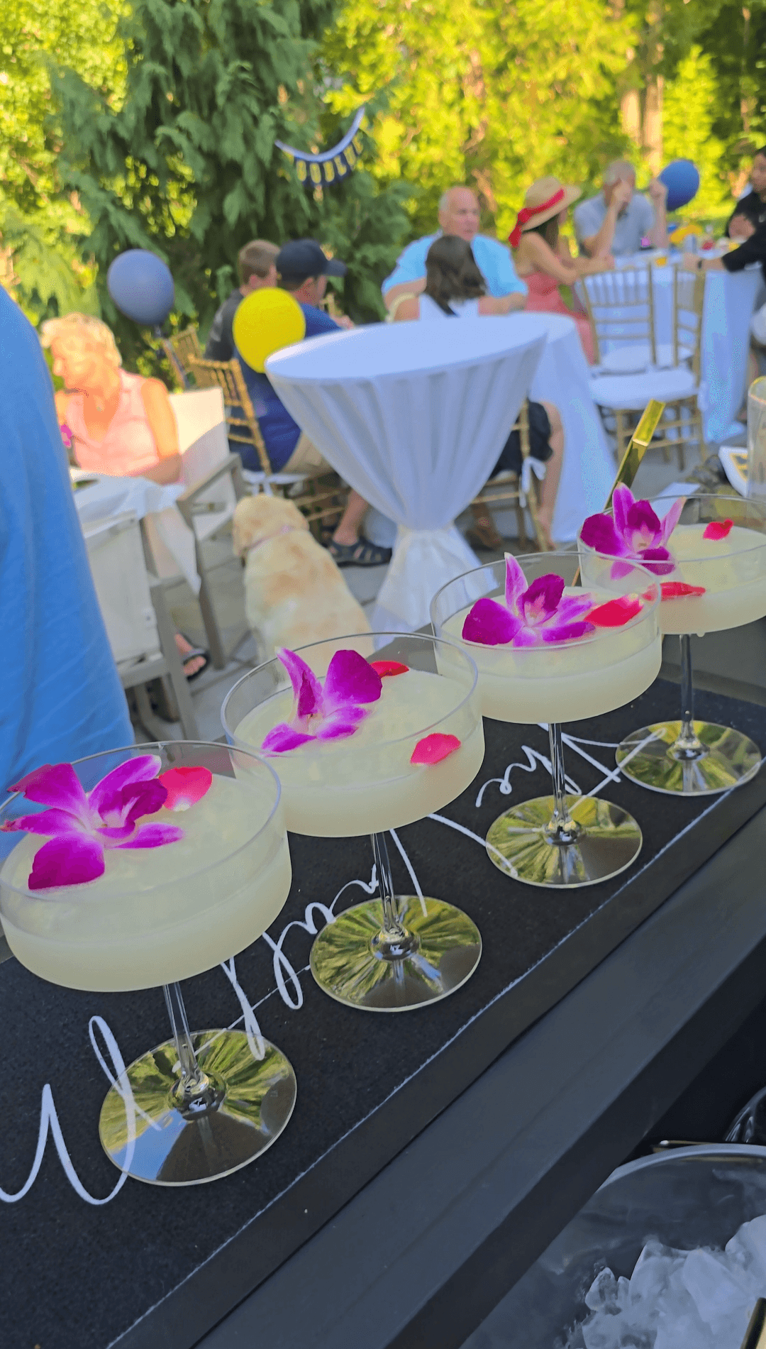 Four white cocktails with pink orchids and umbrellas on a black surface, with a party scene in the background.