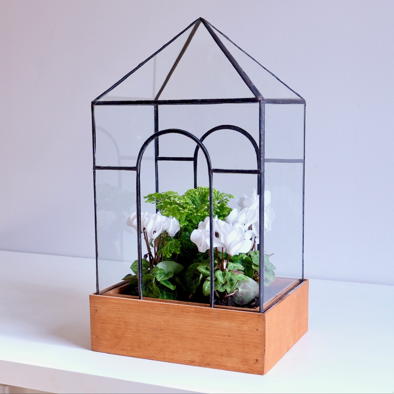 Glass terrarium with plants inside, on a wooden base, against a plain background.