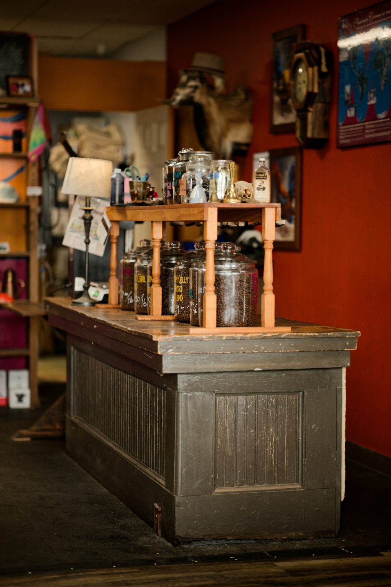 Countertop with jars and bottles, shelves above, framed pictures on red wall, taxidermy animals, cozy interior.
