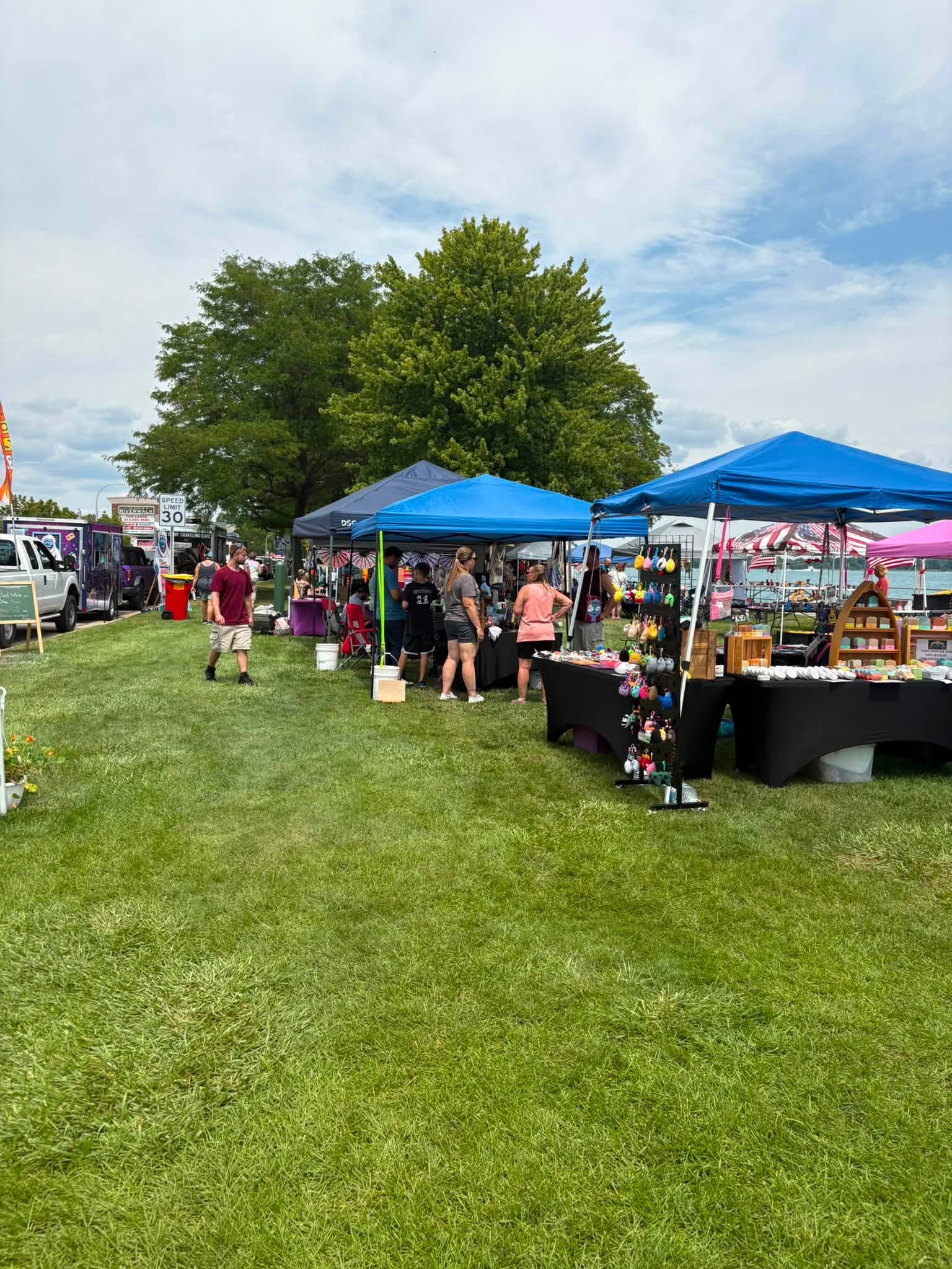 Outdoor market with tents, people, and trees on a grassy field under a partly cloudy sky.