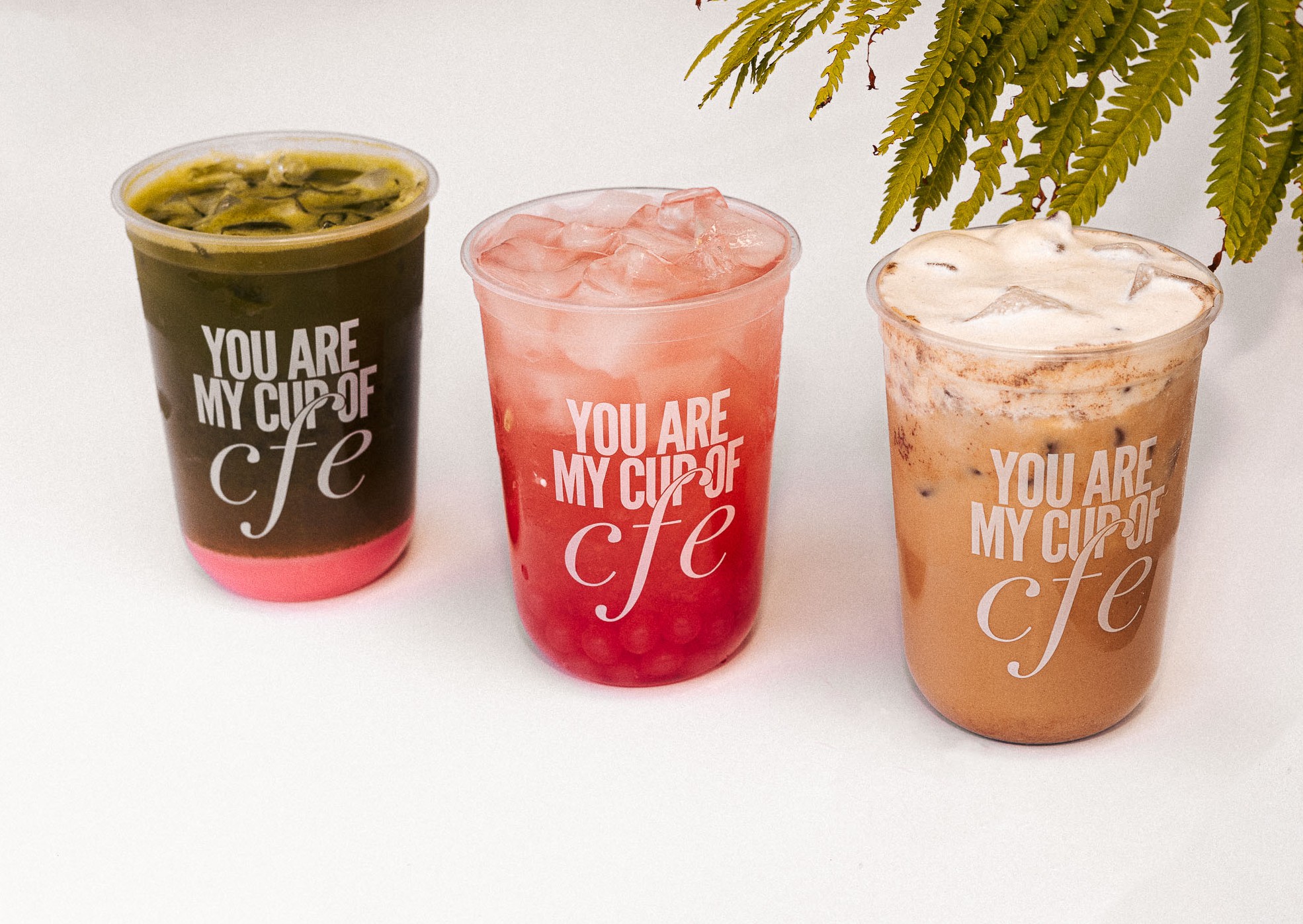 Three cups with different beverages and a green plant in the background, with text on cups reading 'You are my cup of coffee'.