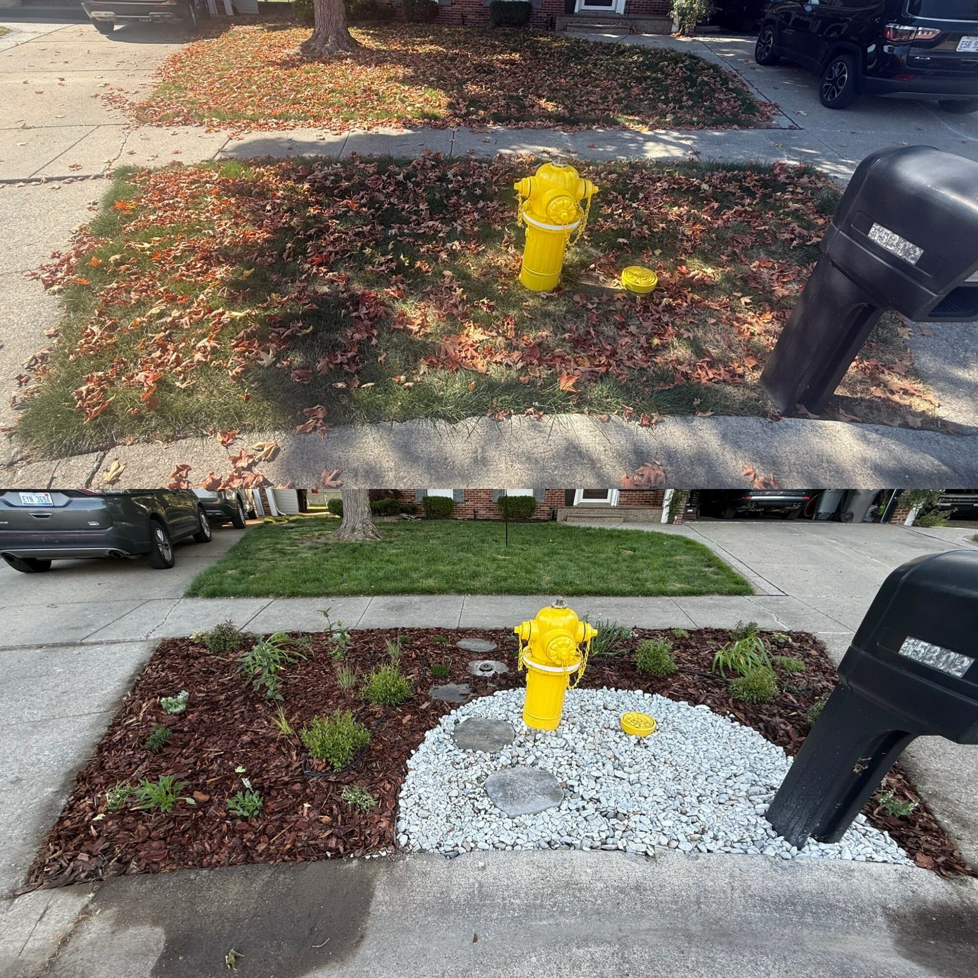 Before and after yard landscaping with a yellow fire hydrant, grass, mulch, and gravel, showing transformation.