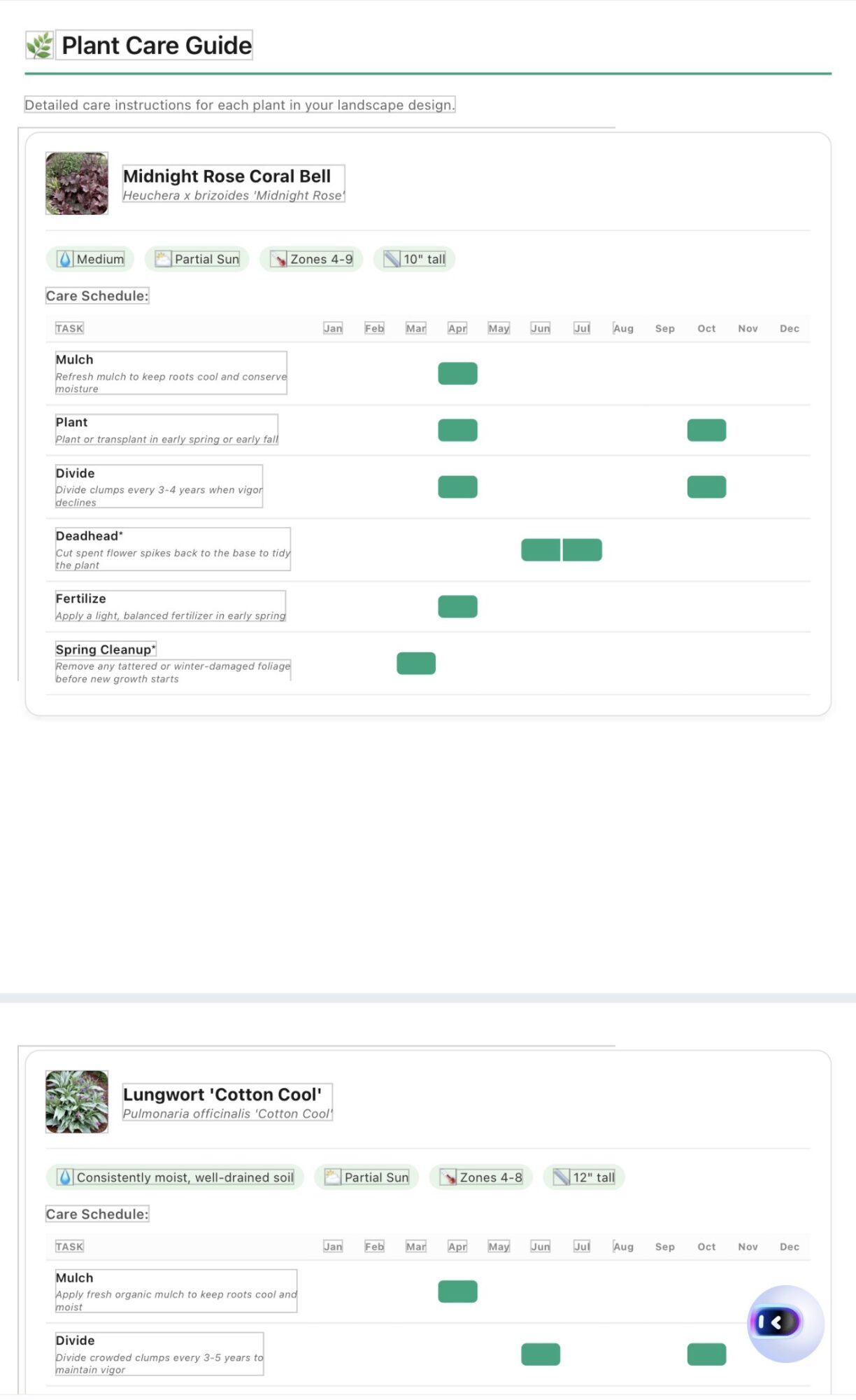 Plant care guide with two sections for Midnight Rose Coral Bell and Lungwort Cotton Cool, showing care instructions and growth stages.