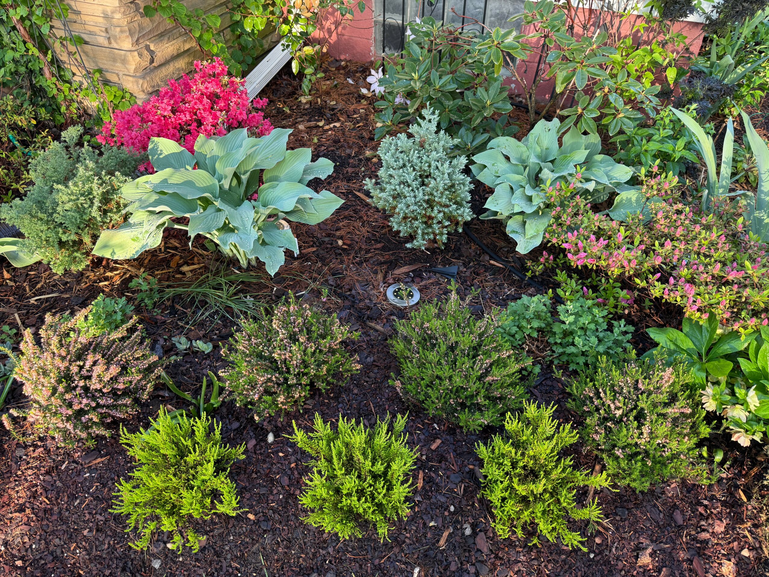 Garden bed with various green plants and colorful flowers, soil visible, in a backyard setting.