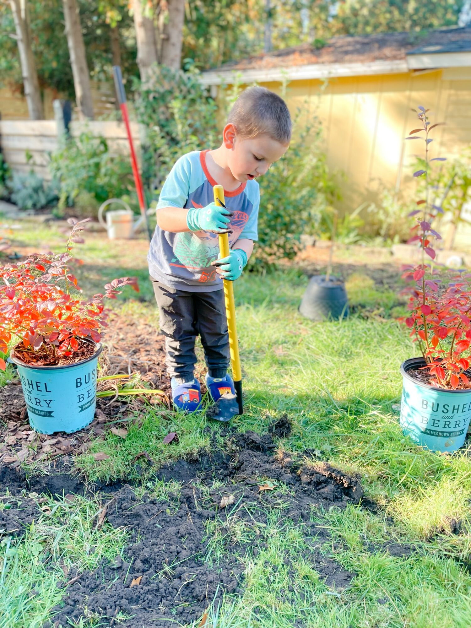 Young boy planting in garden, holding a yellow shovel, surrounded by colorful potted plants, sunlight, and greenery.