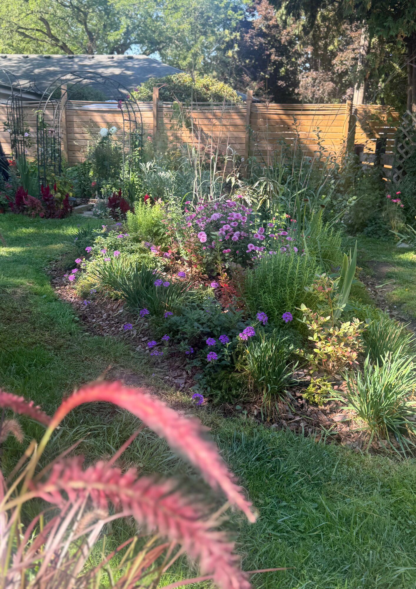 Garden bed with colorful flowers and green plants, surrounded by a grassy lawn and wooden fence, under sunlight.