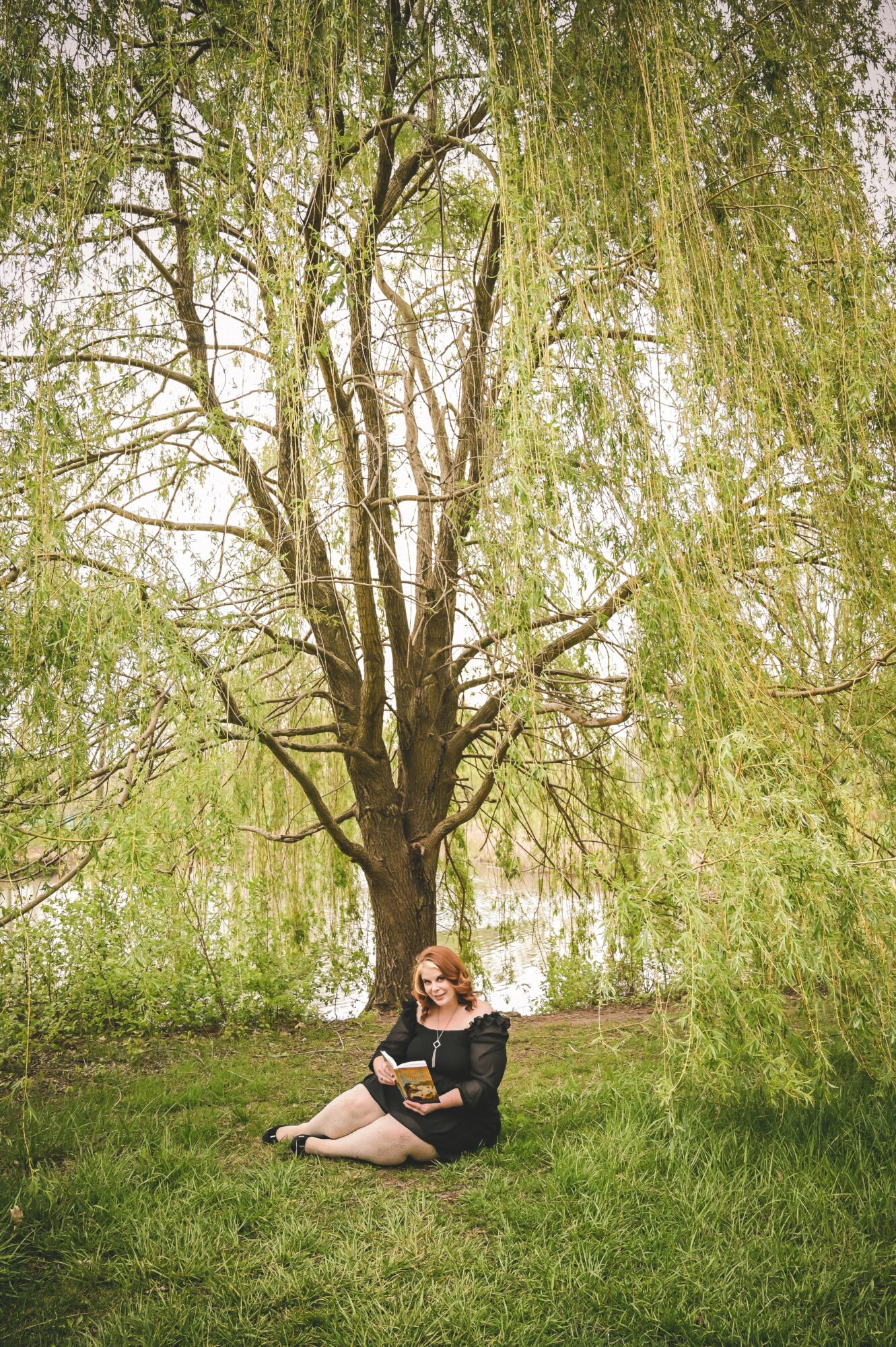 Person sitting on grass under a large tree with hanging branches and green leaves, holding a book.