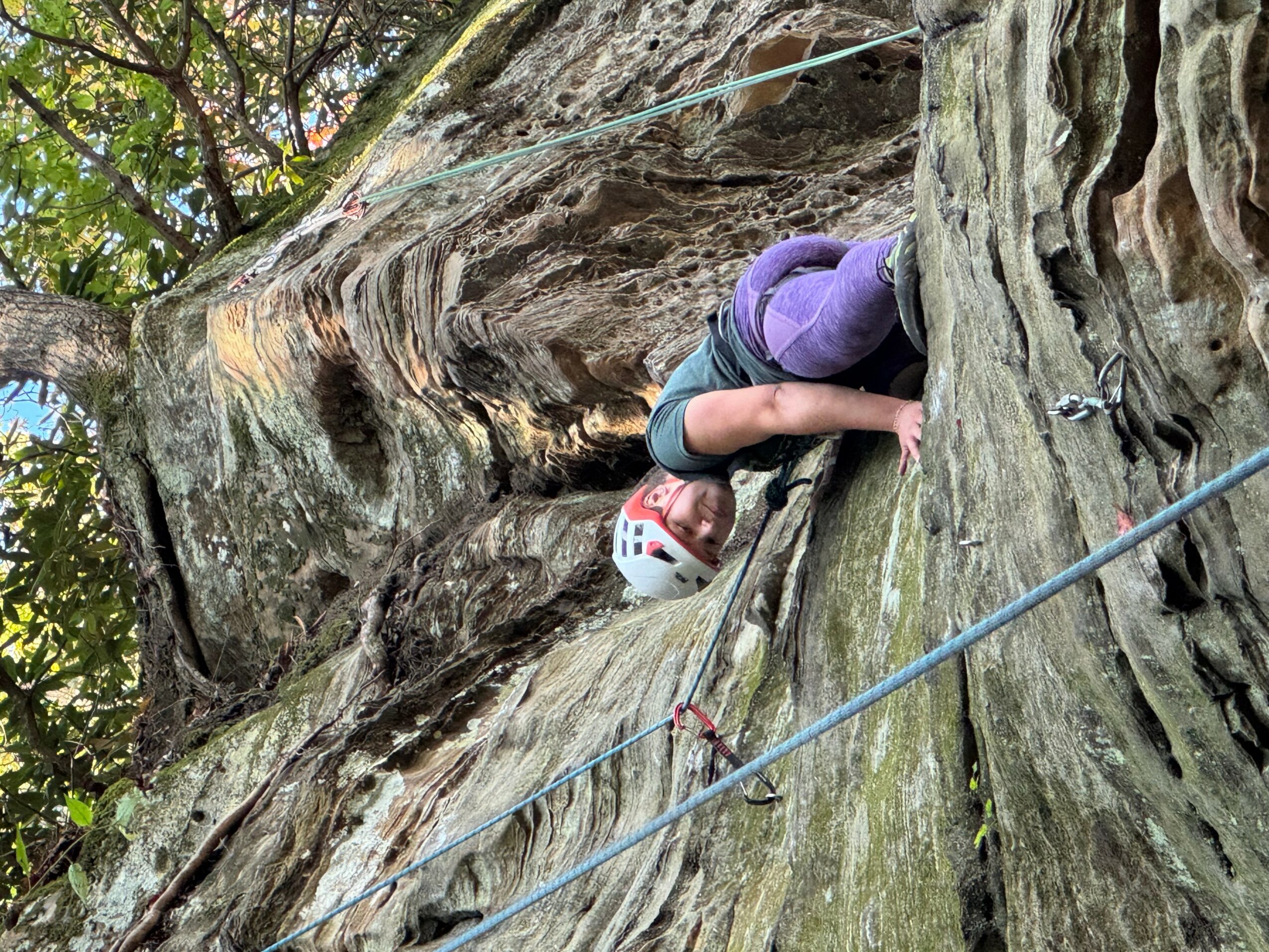 Child wearing a helmet climbs a rocky outdoor wall with trees in the background.