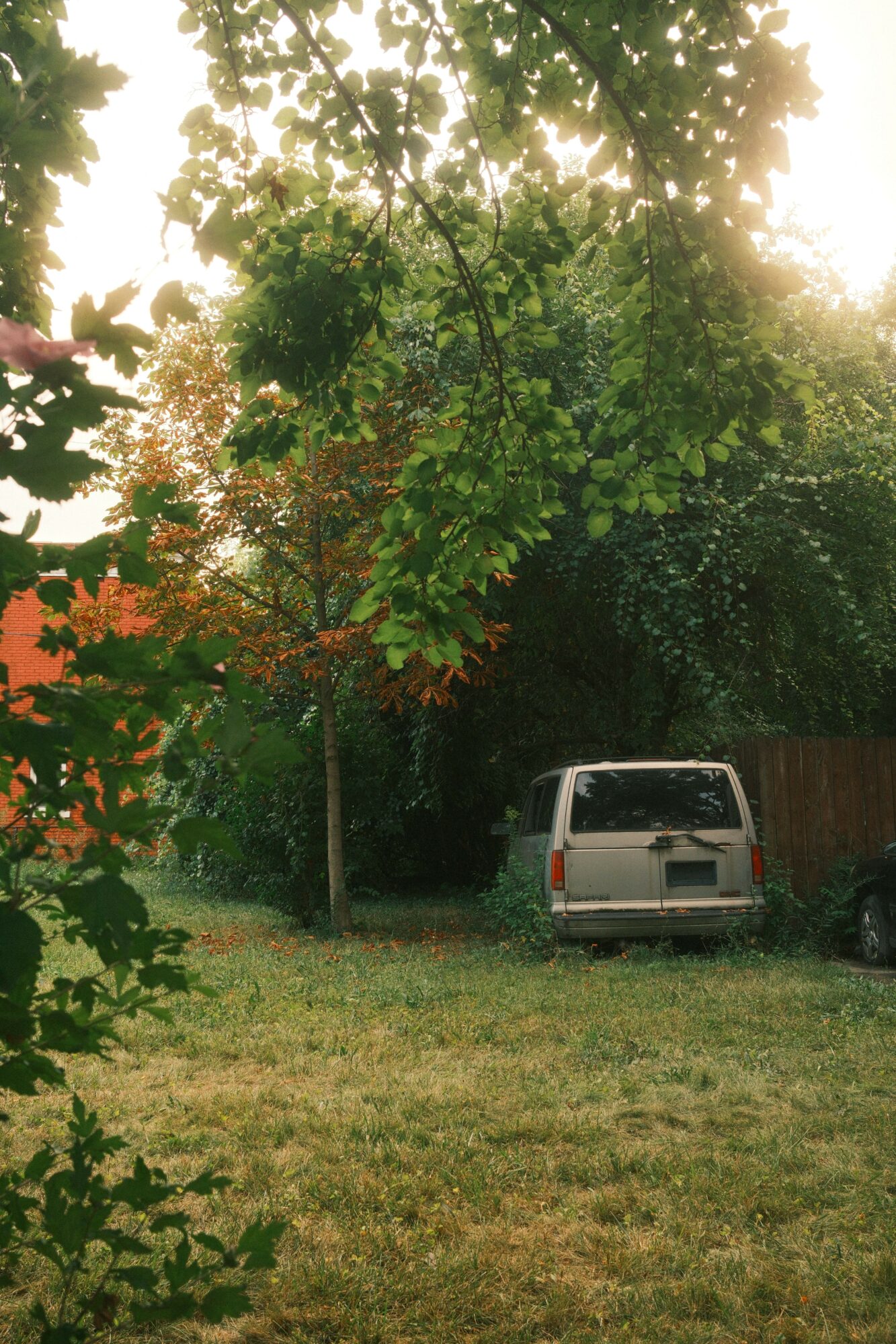 A white vehicle parked on grass near trees with green leaves, sunlight filtering through the foliage.
