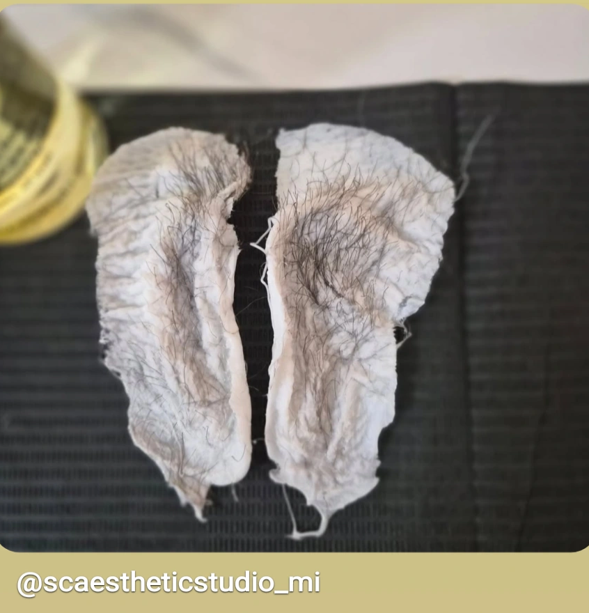 Two dried, wrinkled, and discolored objects resembling animal ears or similar shapes on a black surface.