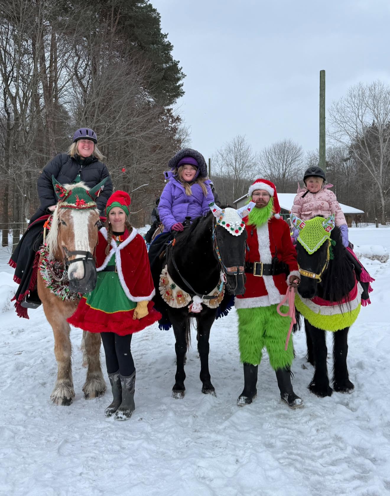 Group of five people, two on horses and three standing, dressed in festive winter costumes outdoors in snow, with trees in background.