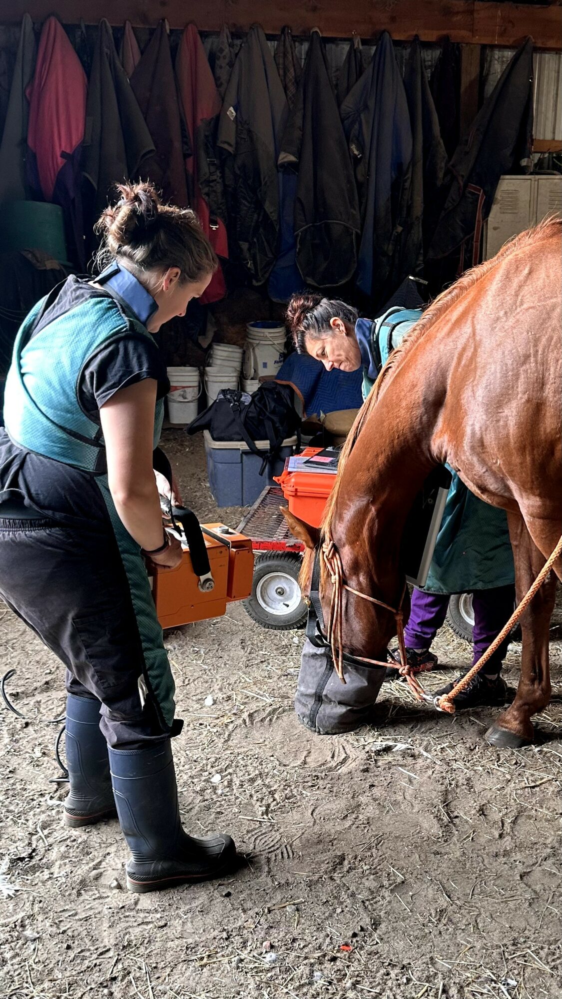 Two people attending to a horse in a stable with hanging coats in the background.