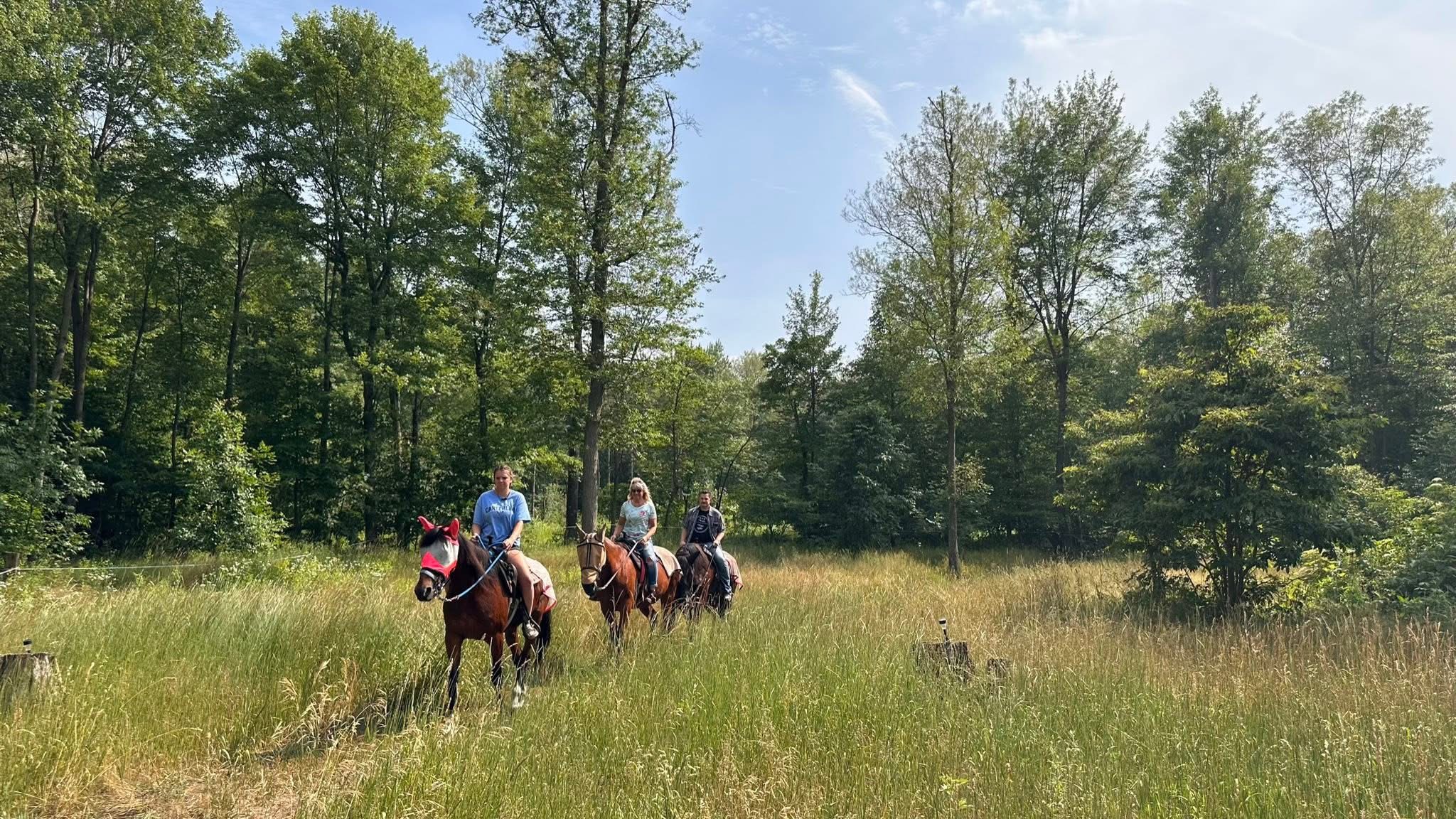 Group of four people riding horses through a grassy field with trees in the background, under a clear blue sky.
