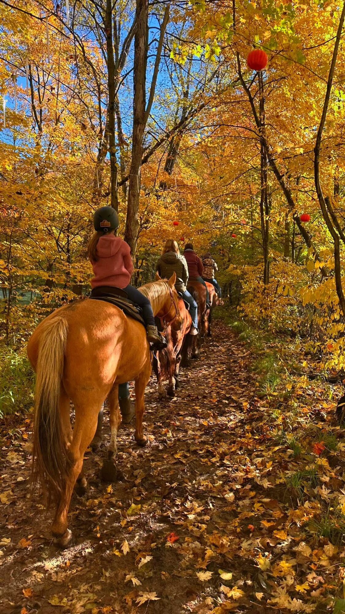 Children riding horses along a forest trail with autumn leaves, trees, and a blue sky in the background.