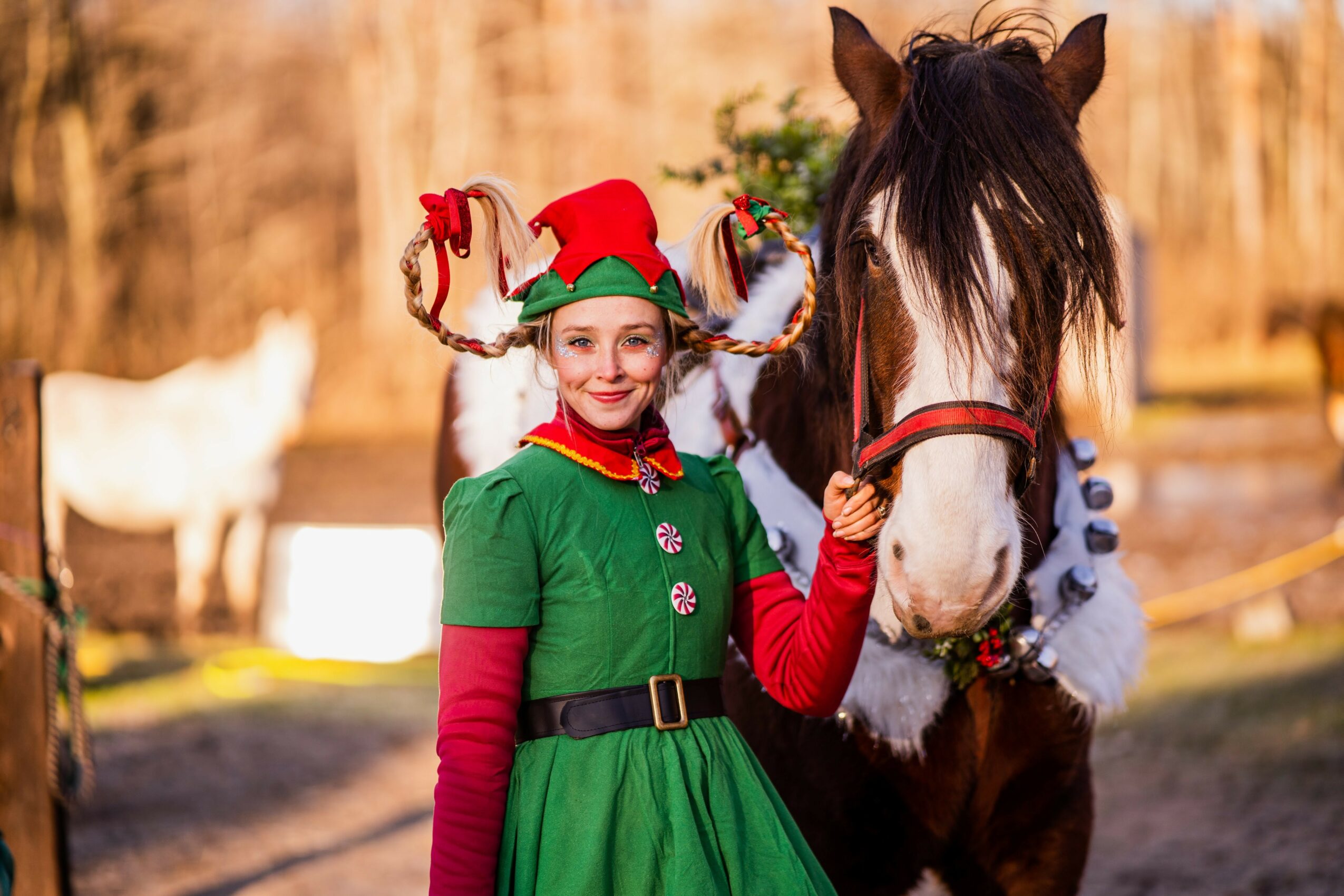 Girl dressed as an elf with a red and green costume, standing next to a horse outdoors during daytime.