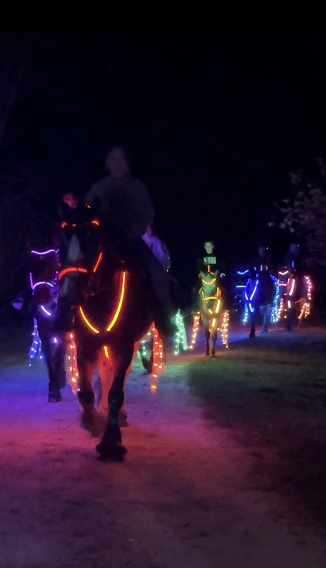 Person riding a horse decorated with colorful lights at night, with more lit horses in the background.