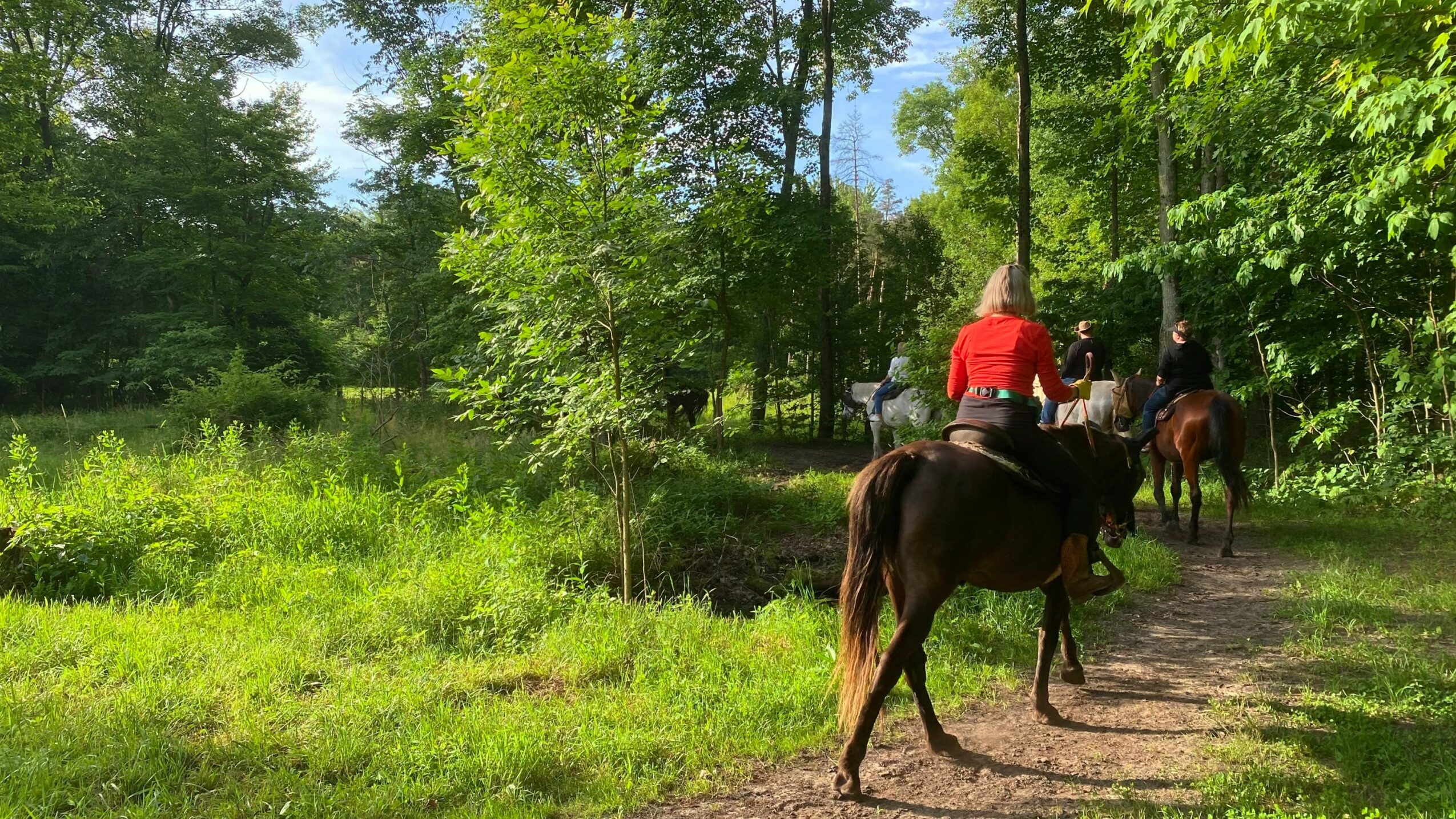 People riding horses along a wooded trail with green trees and grass, sunlight filtering through the leaves.