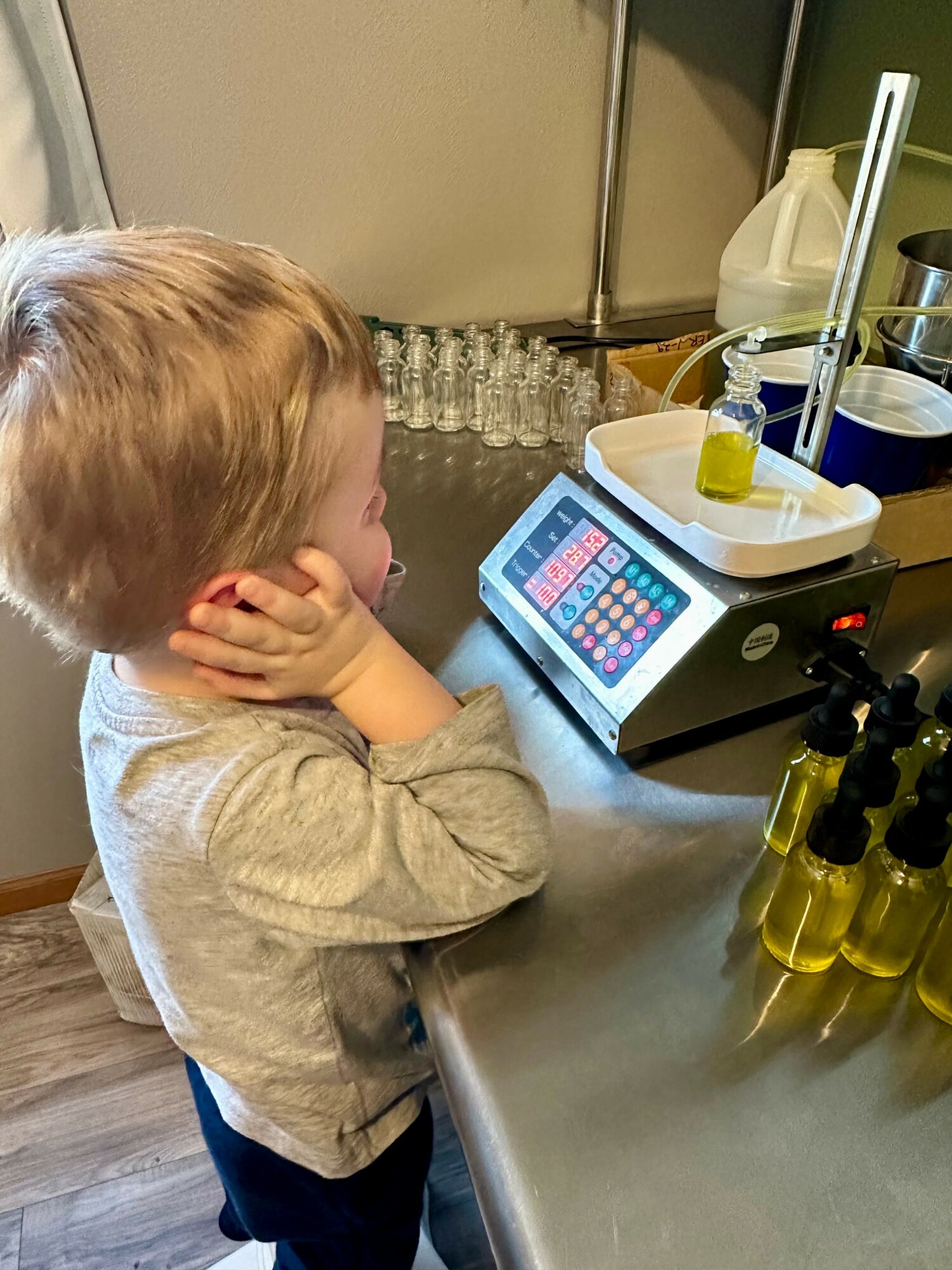 Child with red hair and gray sweater watches a digital device in a laboratory setting.