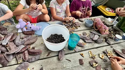 Children sit around a table with shells, a bowl of blueberries, and various objects, engaging in an activity.